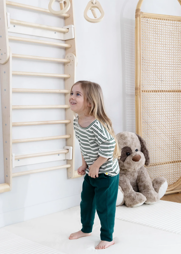 Montessori 2-in-1 Triangle & Wall Climber