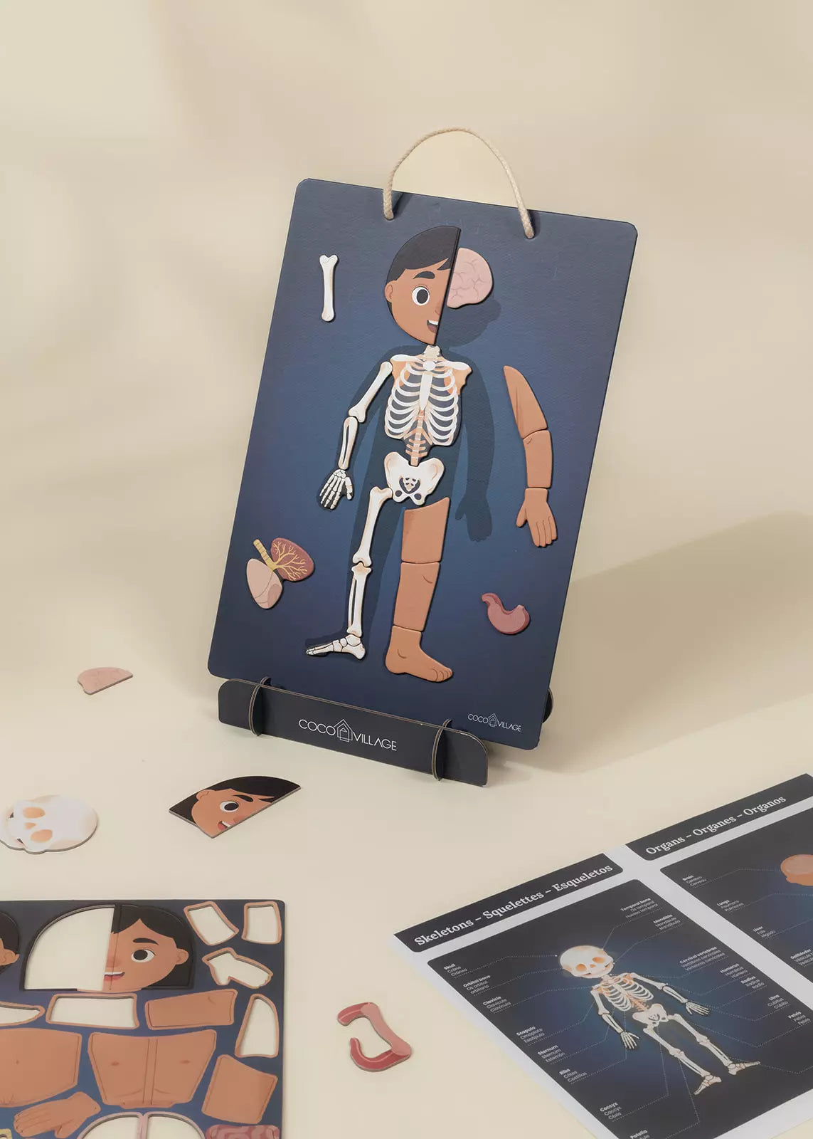 Magnetic Interactive Board – My Body