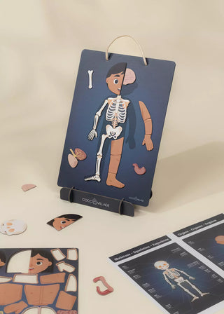 Tableau magnétique interactif – Mon corps 