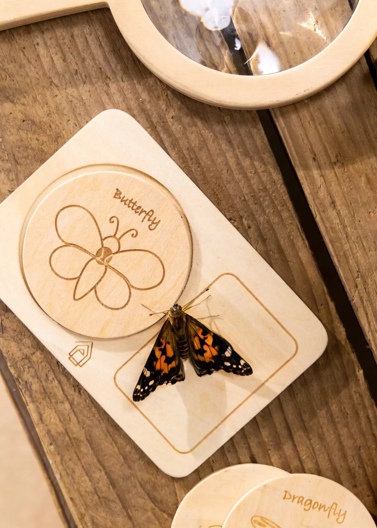 Image of Wooden Bug House & Exploration Set