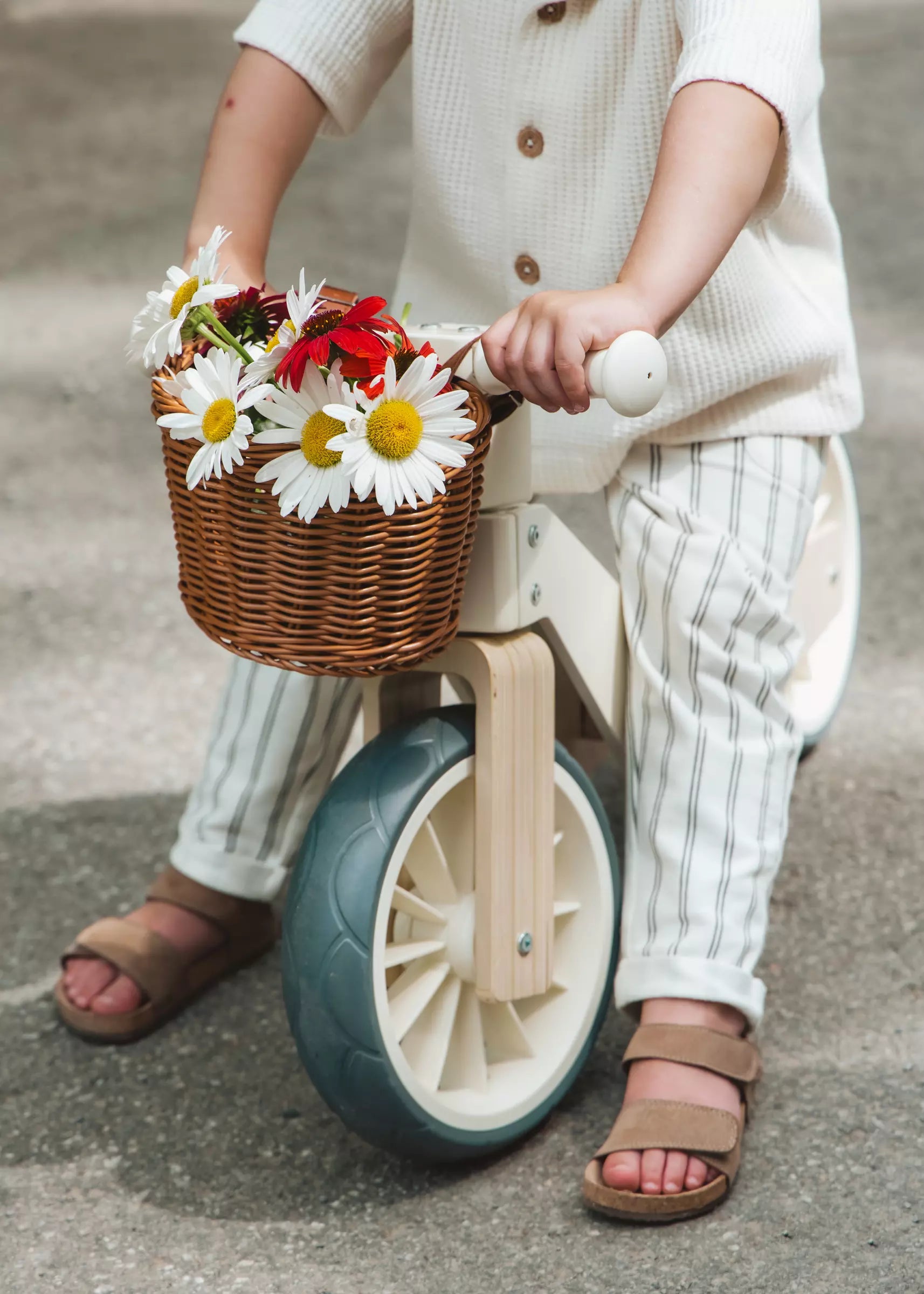 Image of Wooden Balance Bike 3-in-1 - Foam