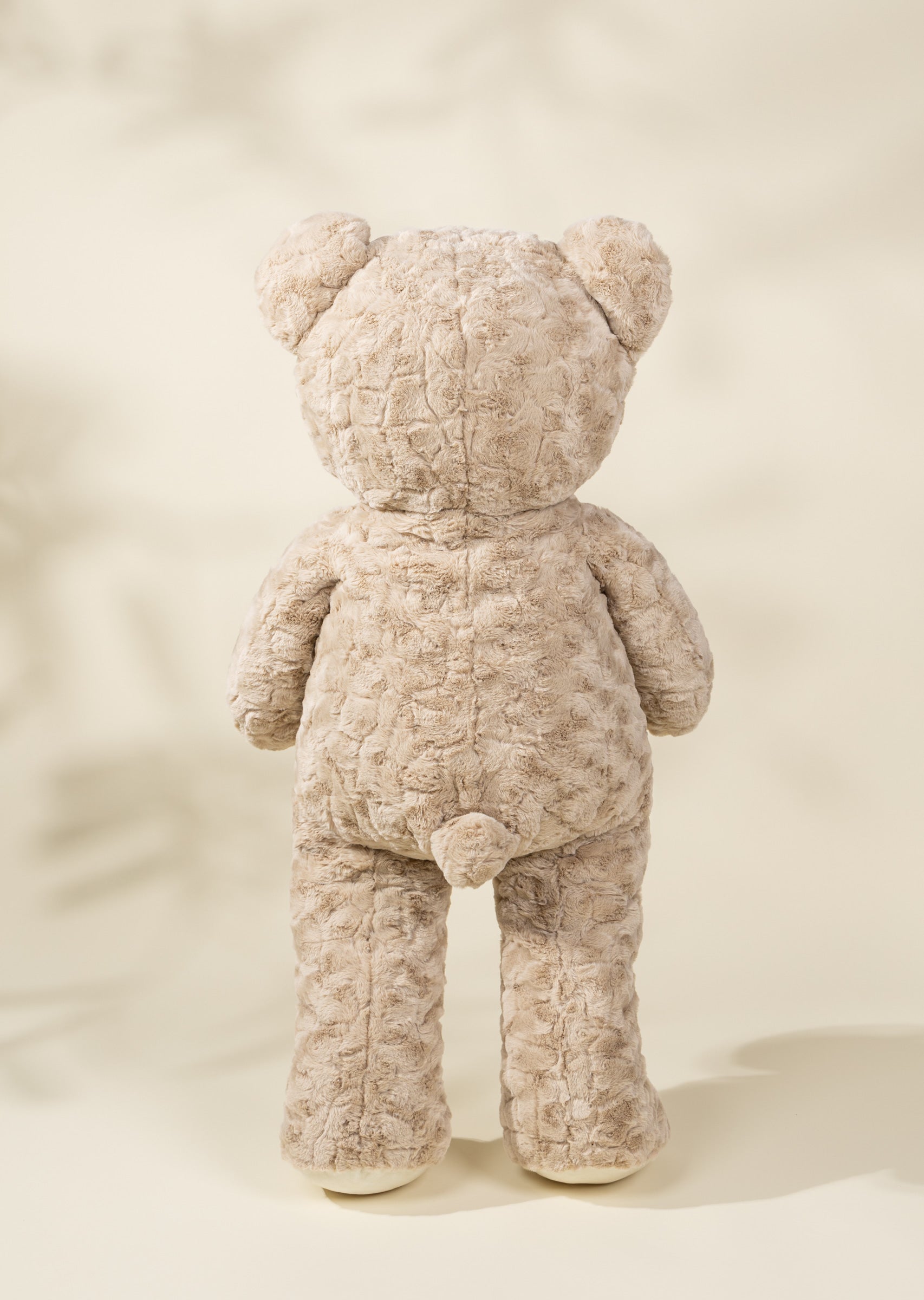 Image of Medium Bear Plush Toy