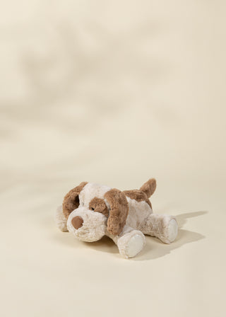 Peluche Chien Moyenne Taille 