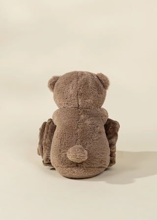 Peluche Ours et Couverture Douillette