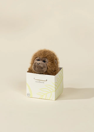 Mini Peluche Cadeau - Singe brun
