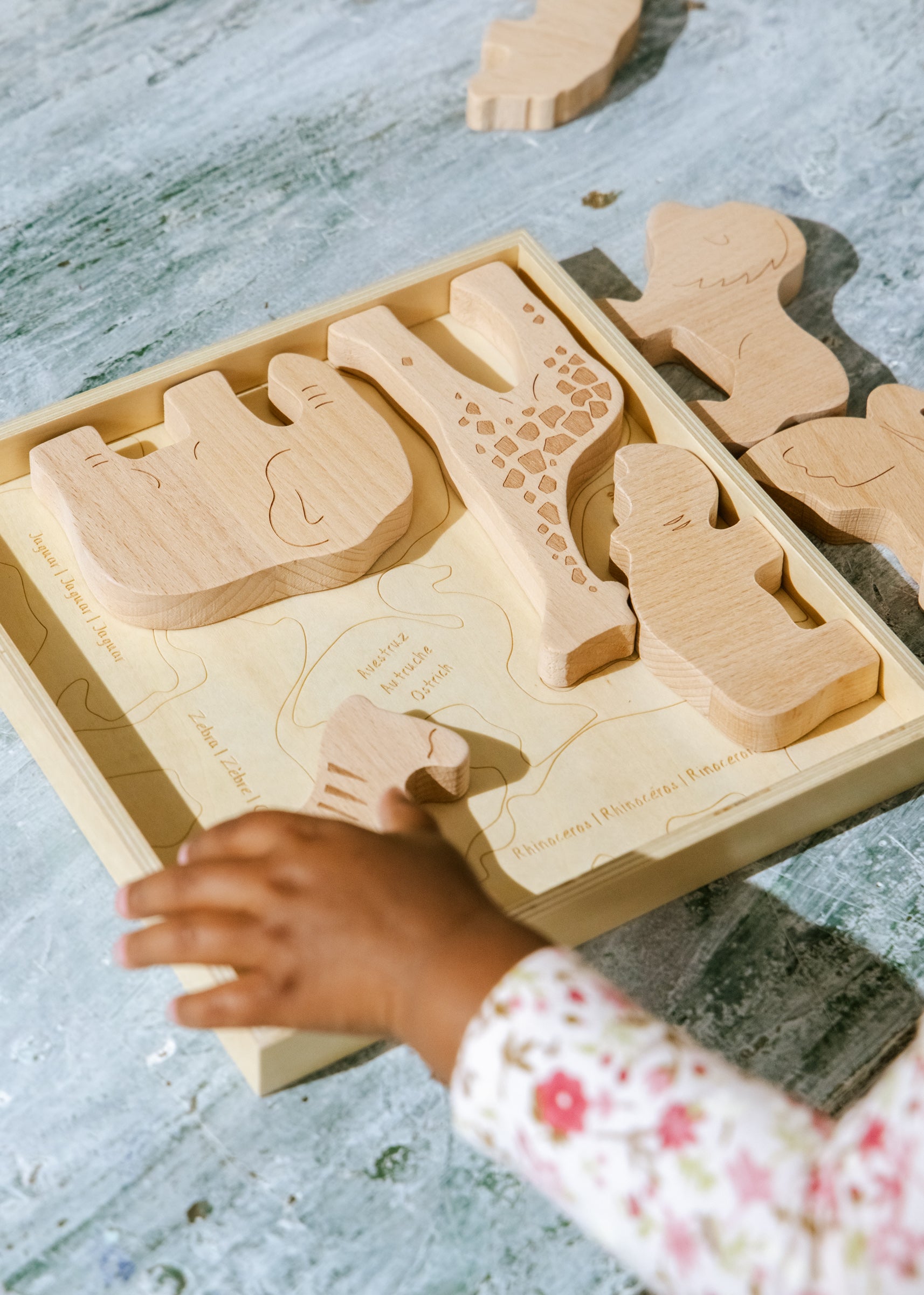 Image of Wooden Balance Puzzle - Safari - 8 pieces