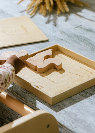 Wooden Balance Puzzle - Forest - 8 pieces