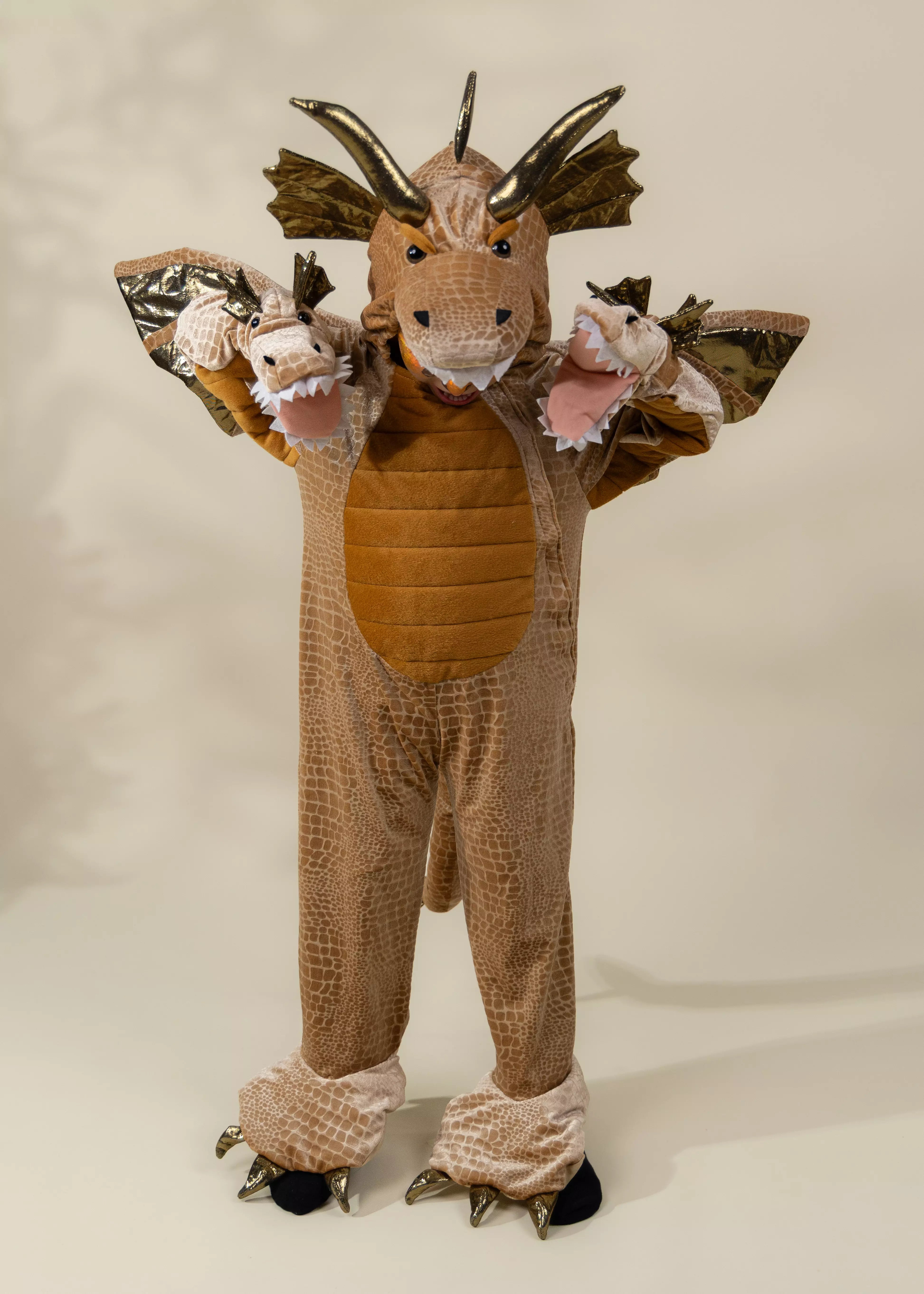 Image of Dragon Costume