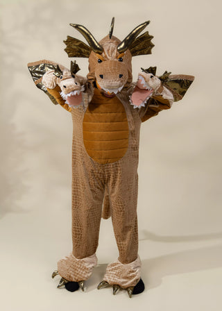 Costume Dragon