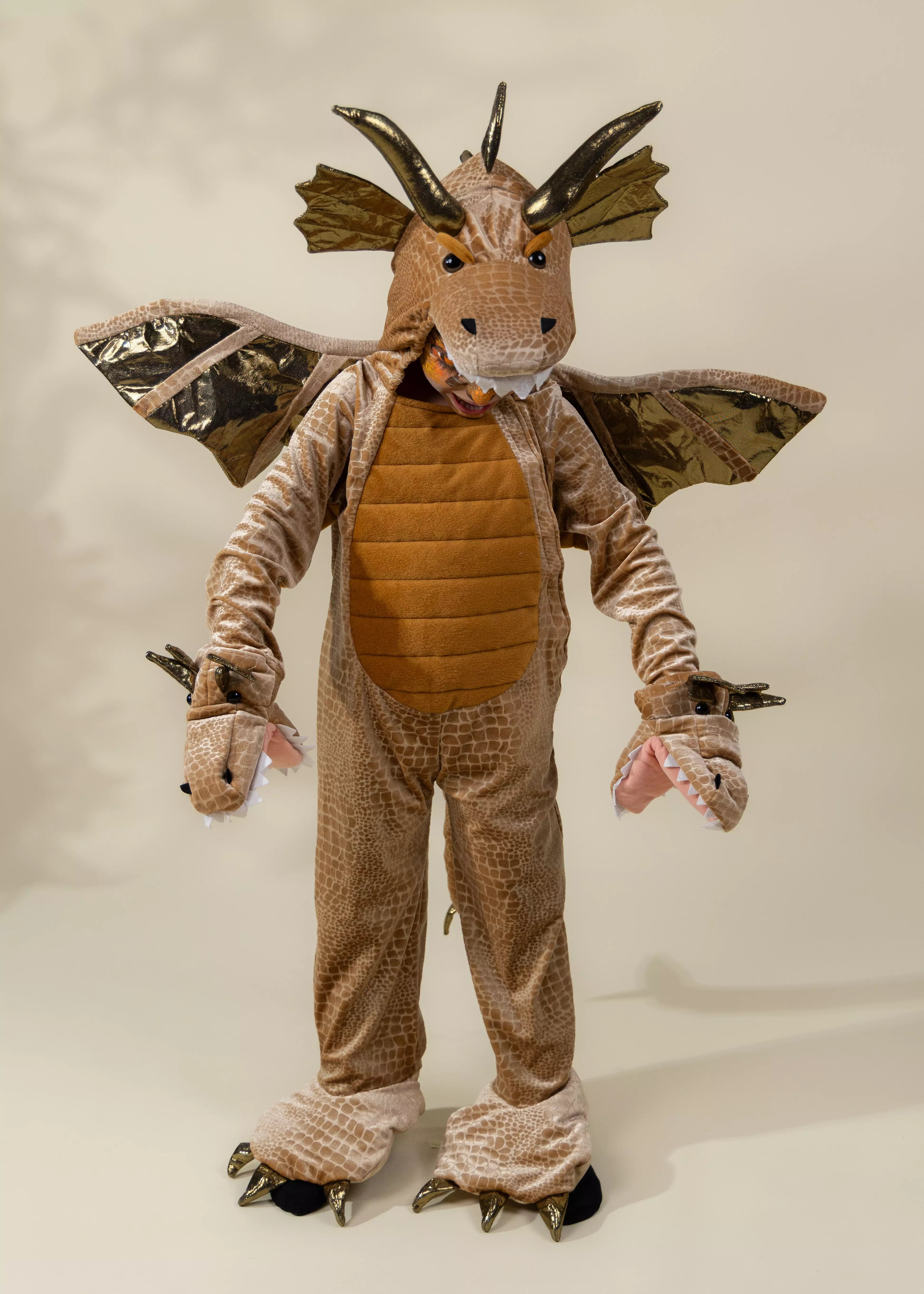 Image of Dragon Costume
