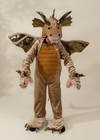 Costume Dragon
