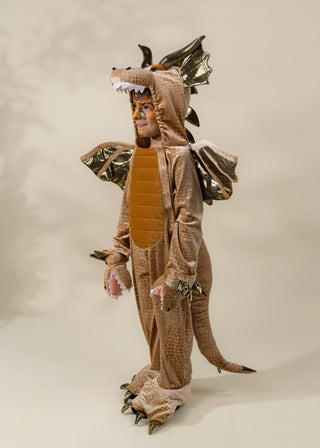 Costume Dragon