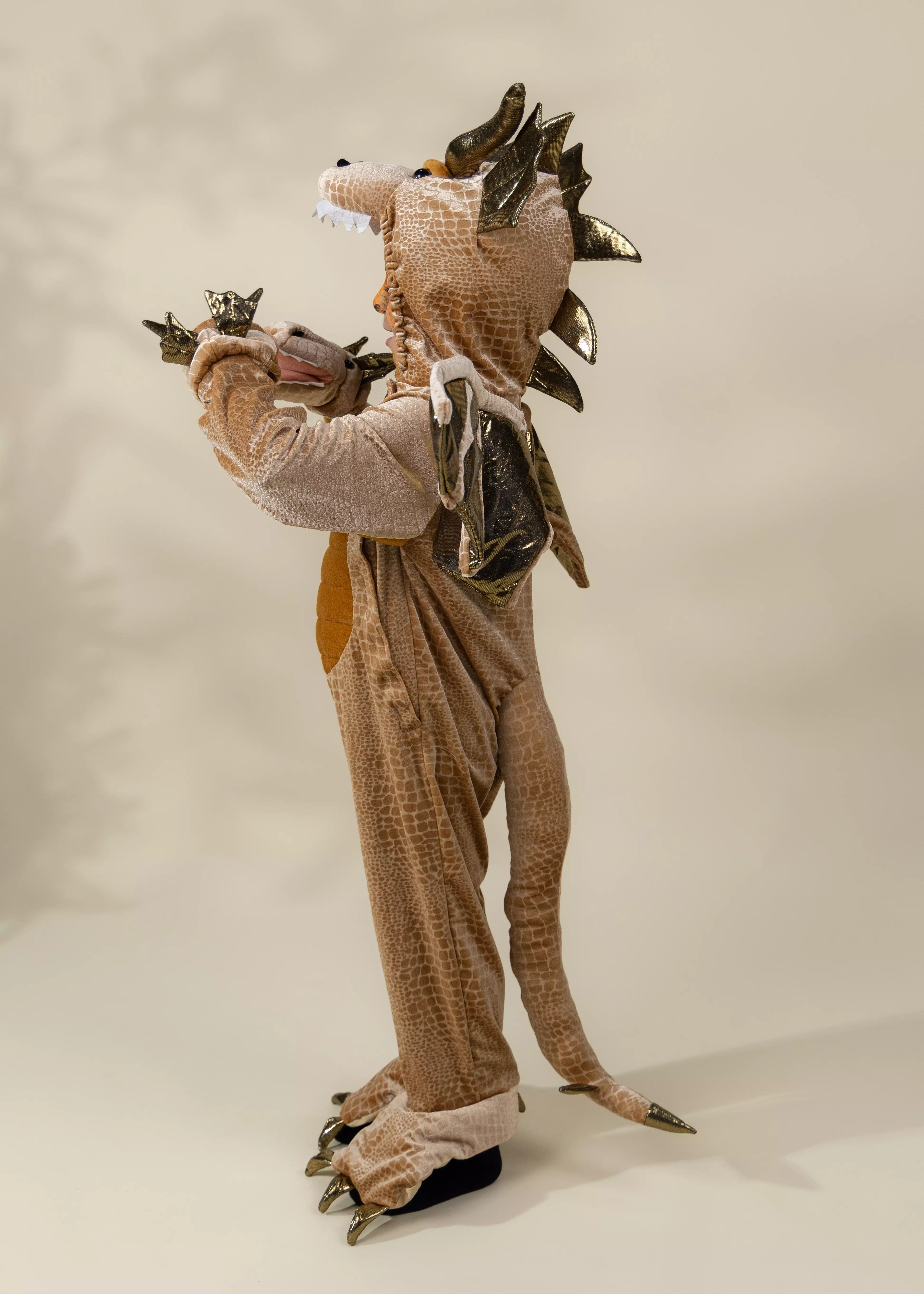 Image of Dragon Costume