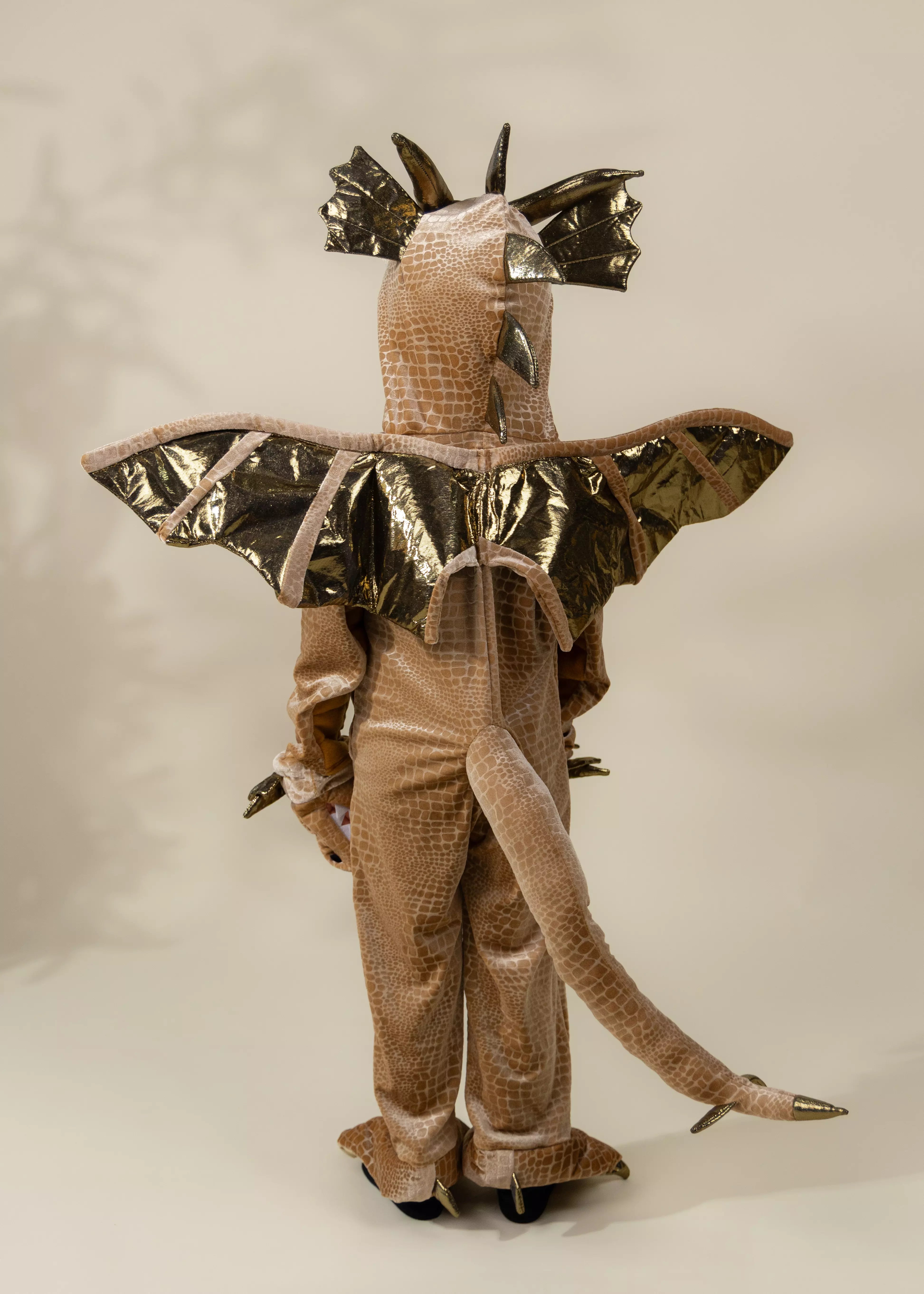 Image of Dragon Costume