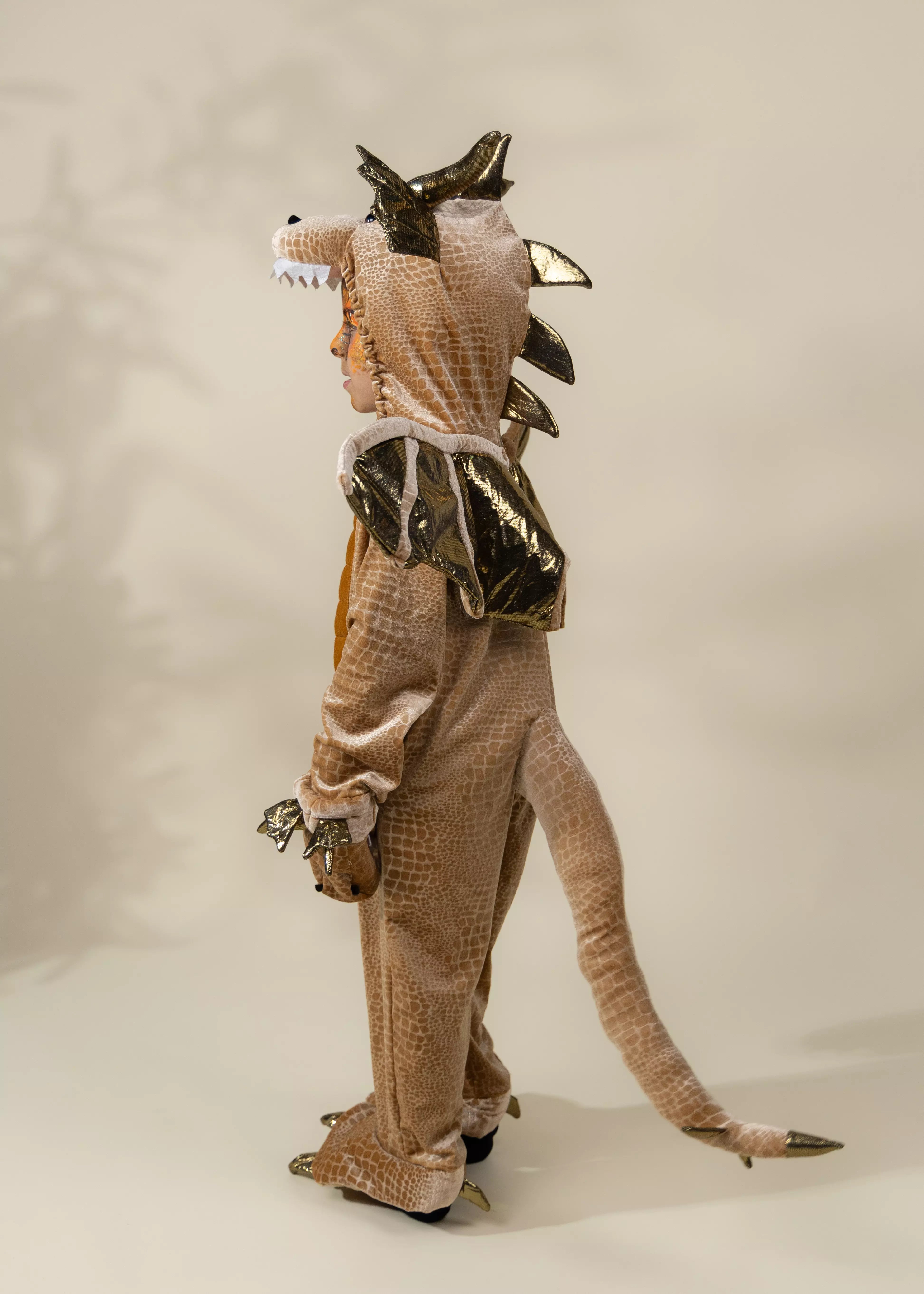 Image of Dragon Costume