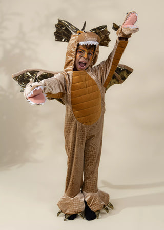 Costume Dragon