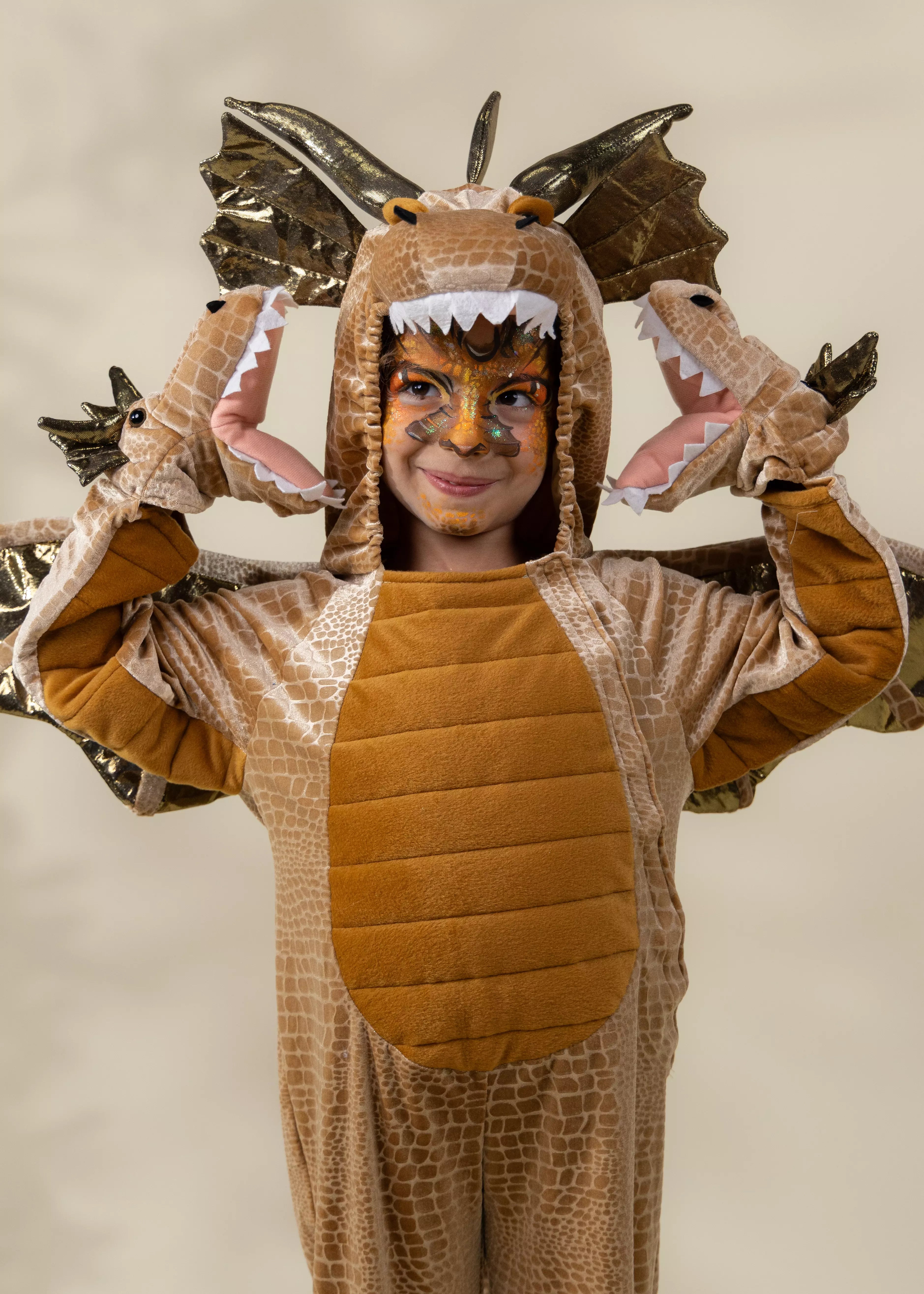Image of Dragon Costume