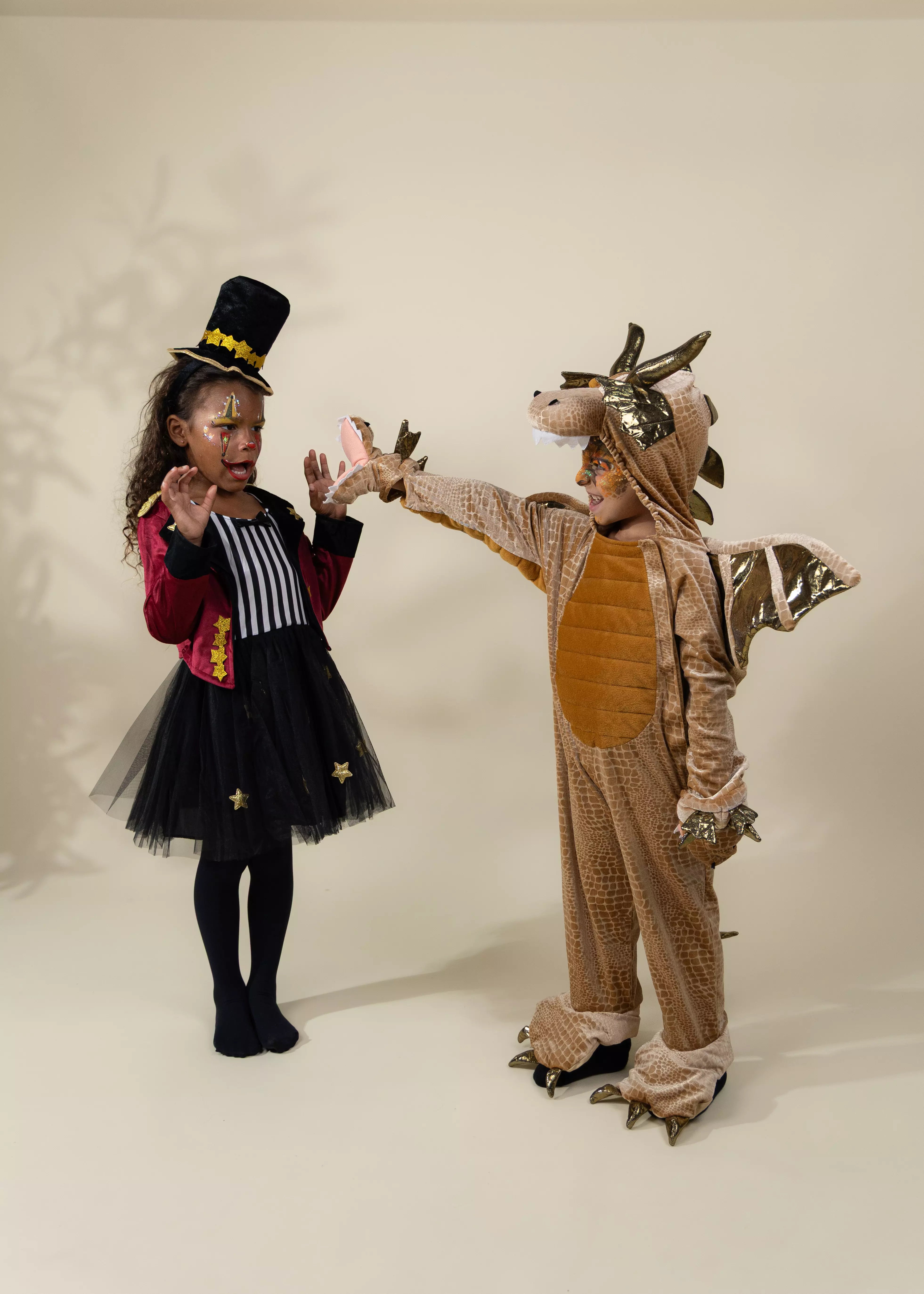 Image of Dragon Costume