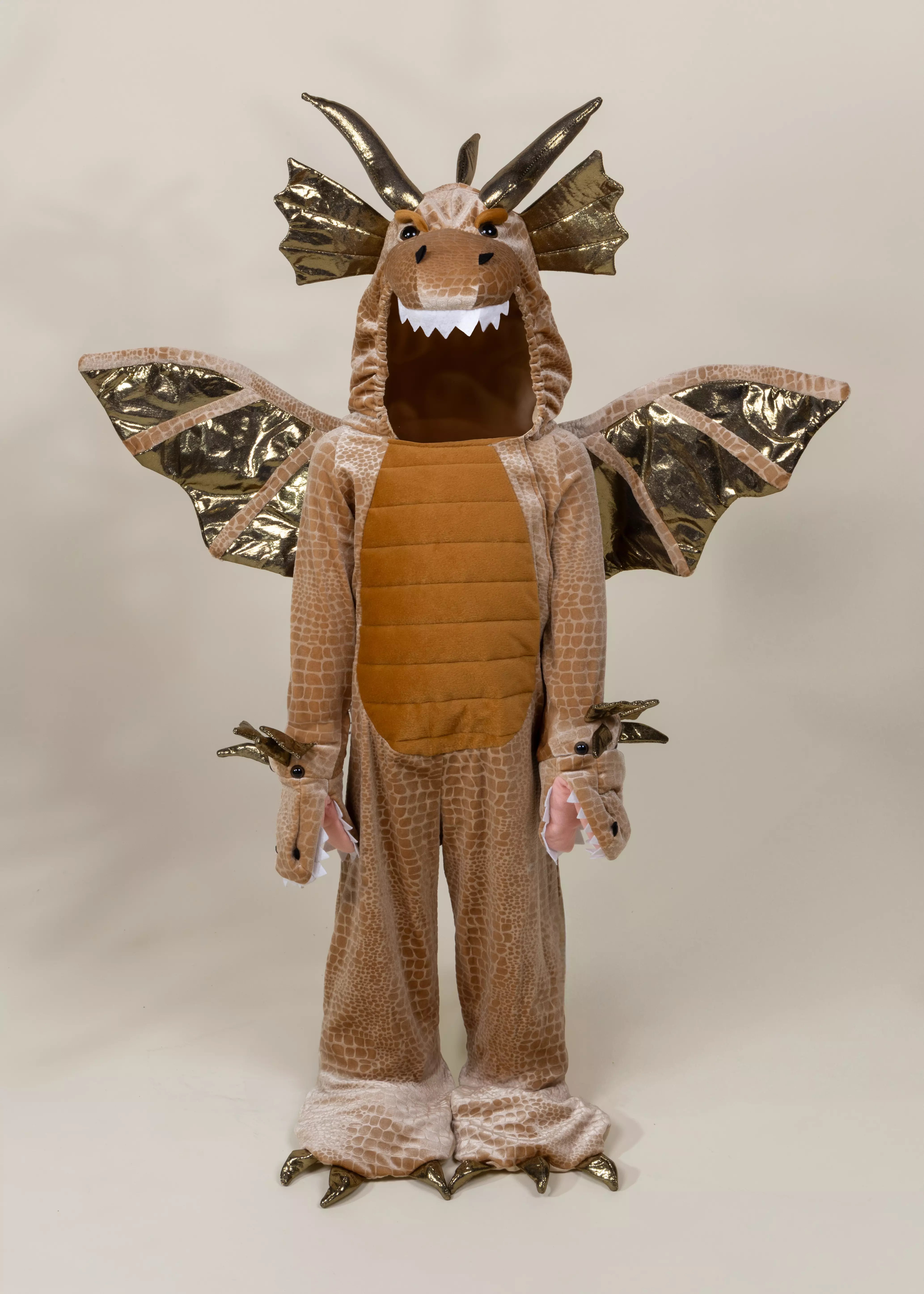 Image of Dragon Costume