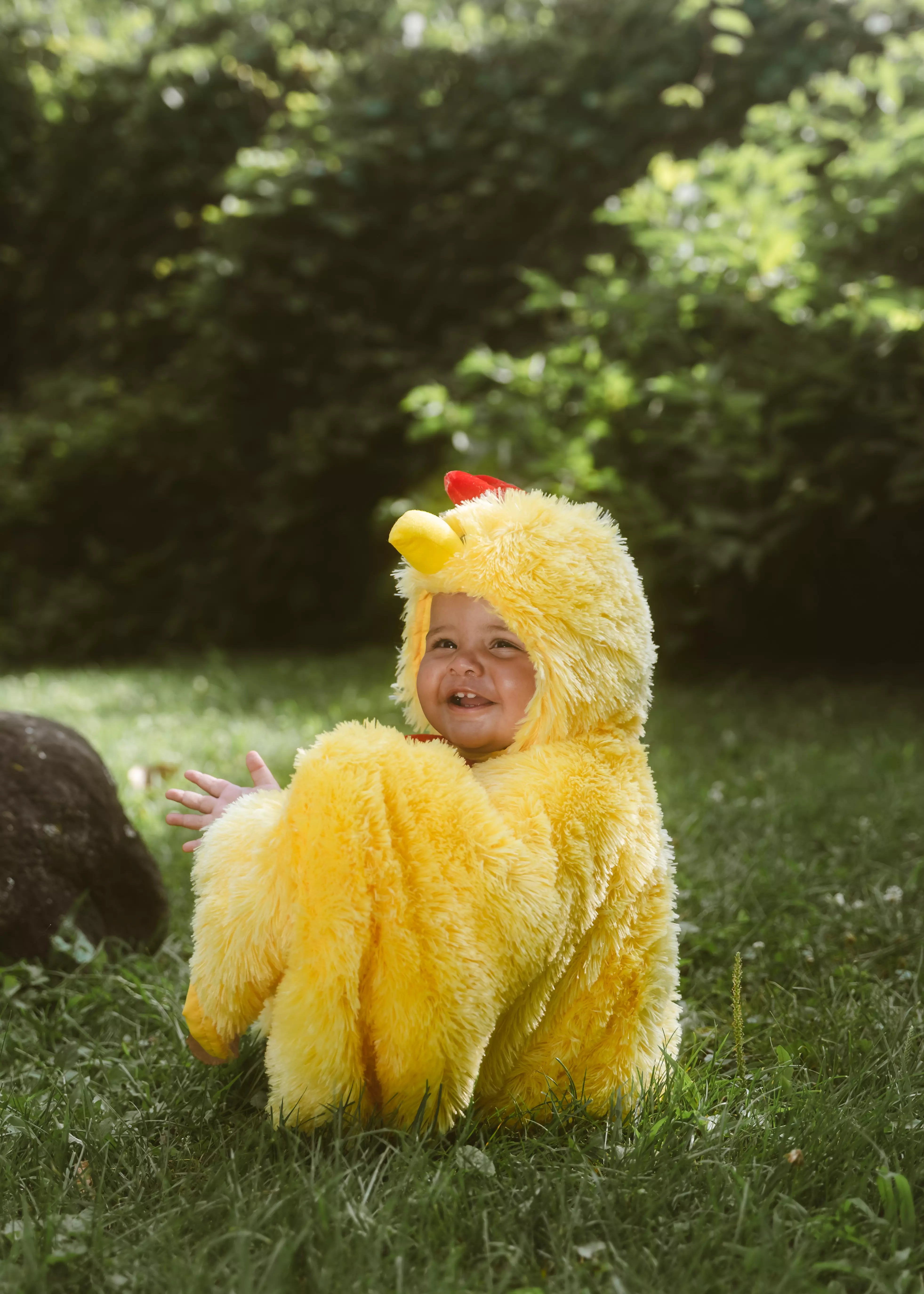 Image of My First Rooster Cape Costume