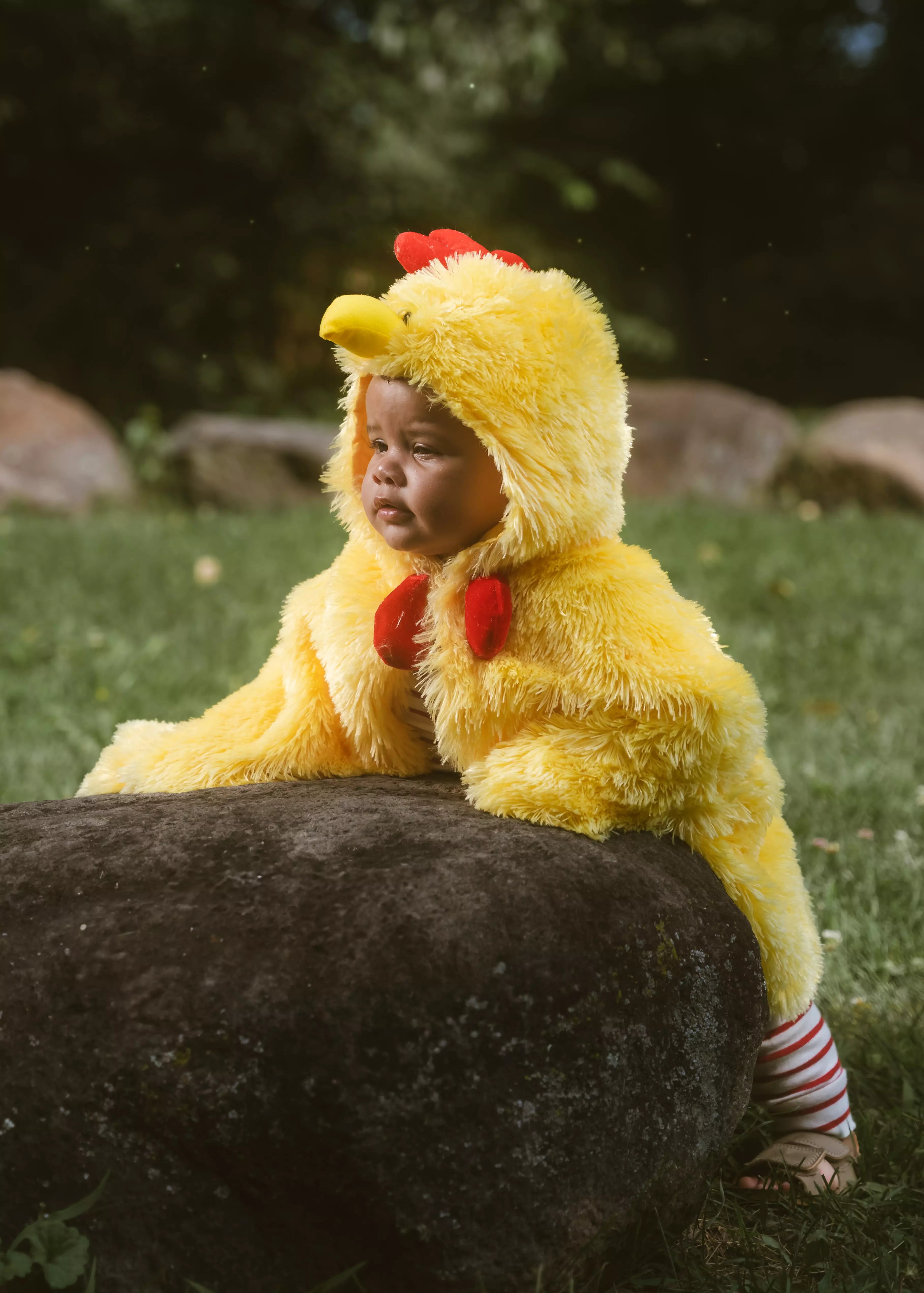 Image of My First Rooster Cape Costume