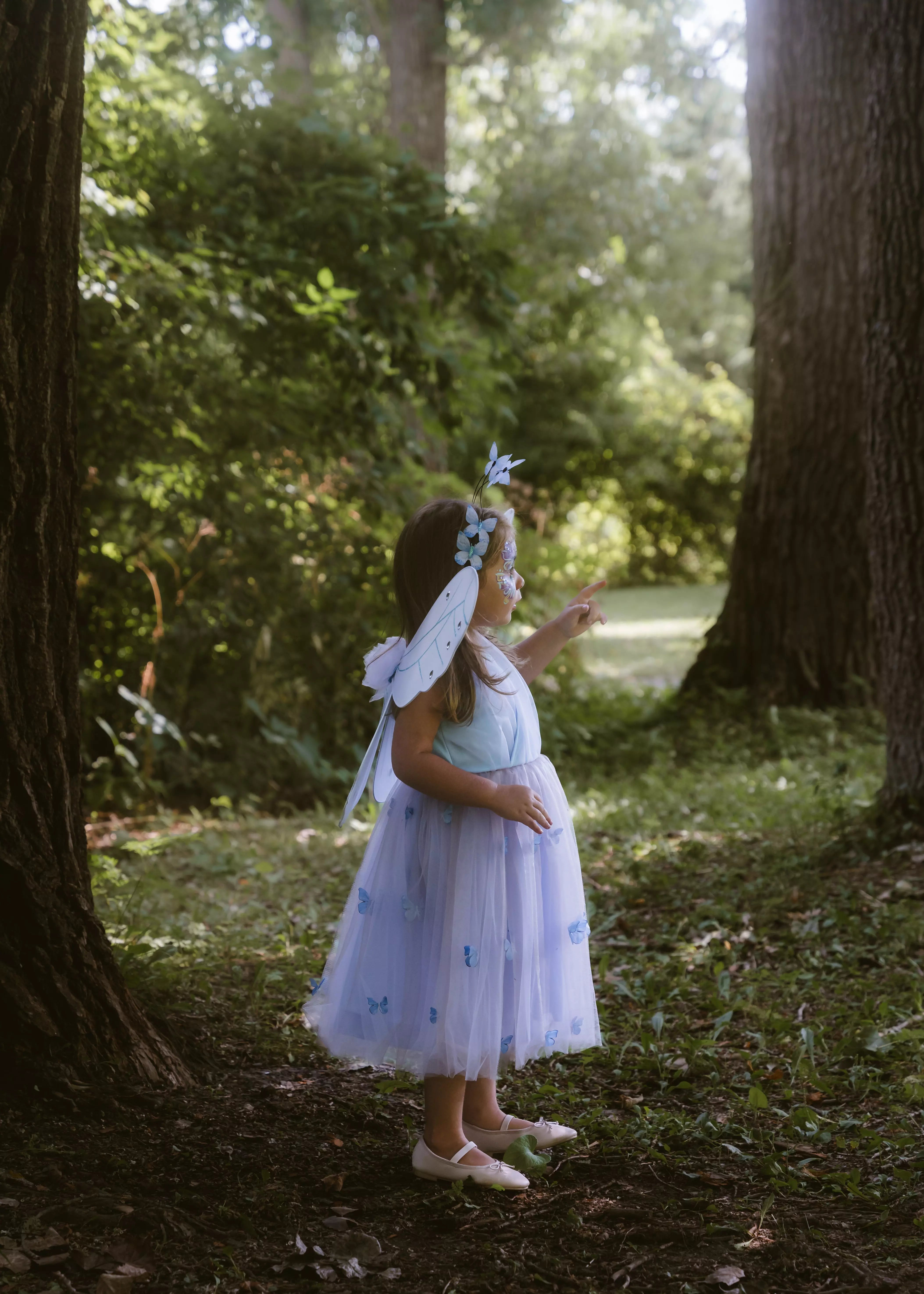Image of Princess Butterfly Dress, Wings & Head