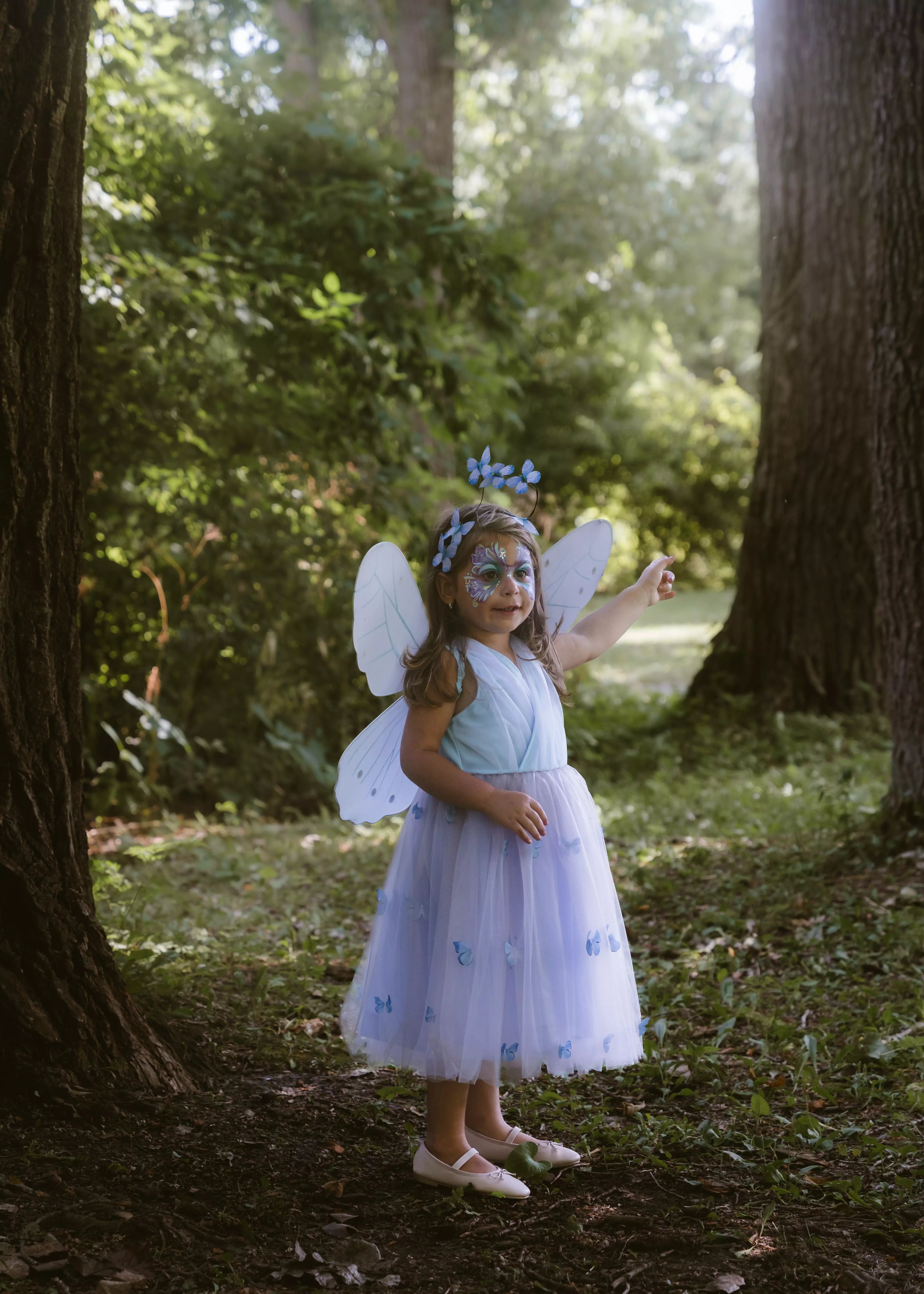 Image of Princess Butterfly Dress, Wings & Head