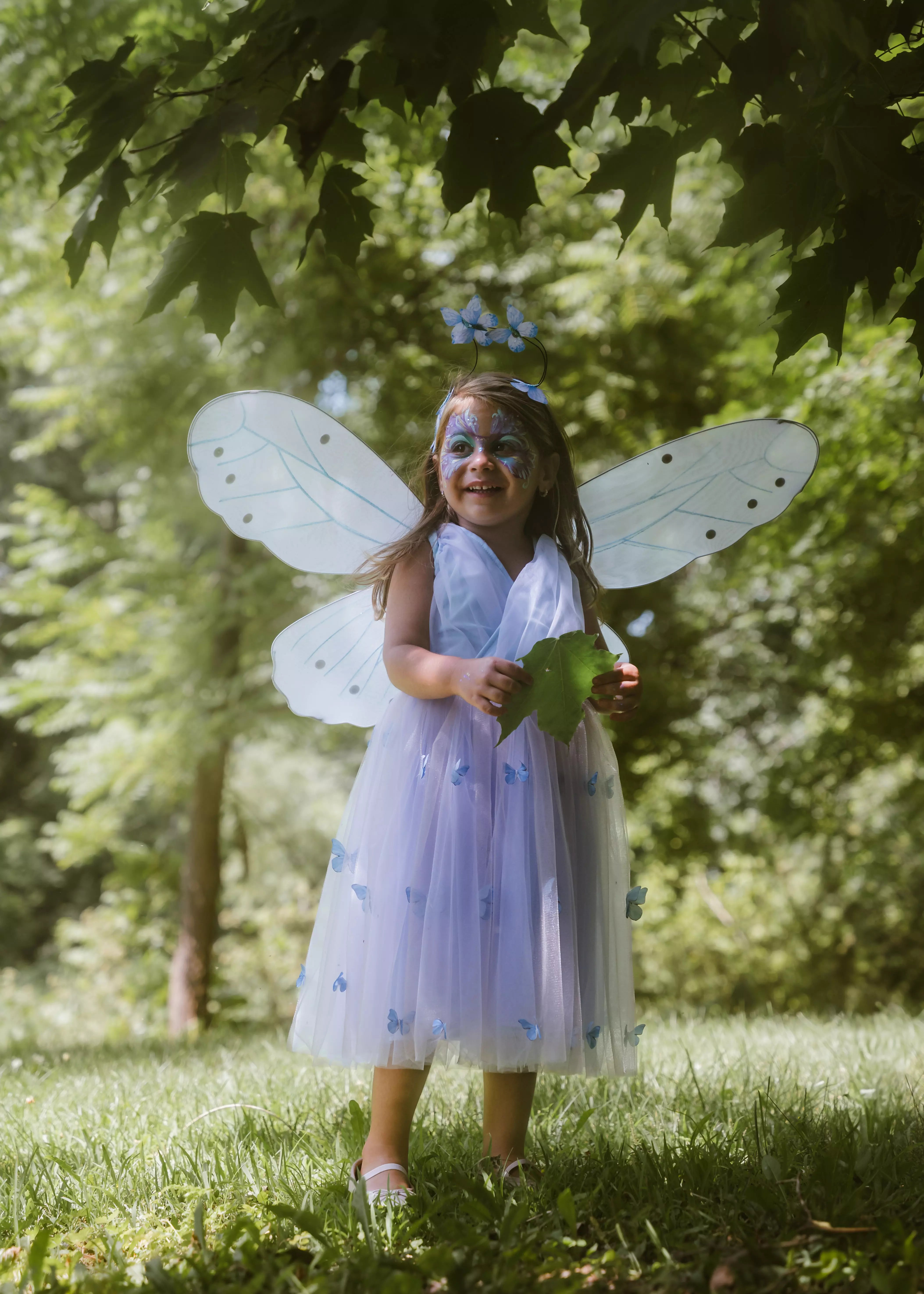 Image of Princess Butterfly Dress, Wings & Head