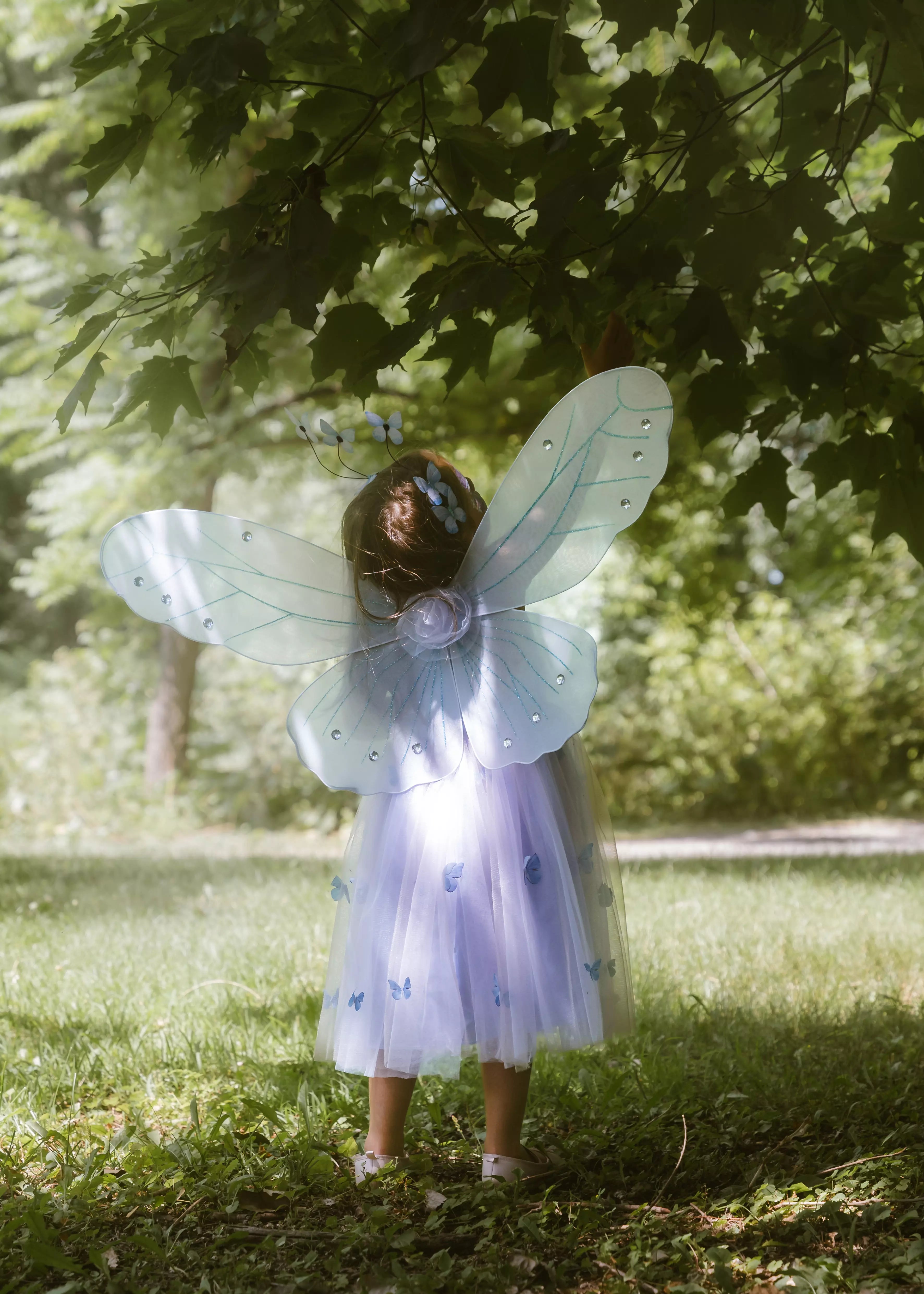 Image of Princess Butterfly Dress, Wings & Head