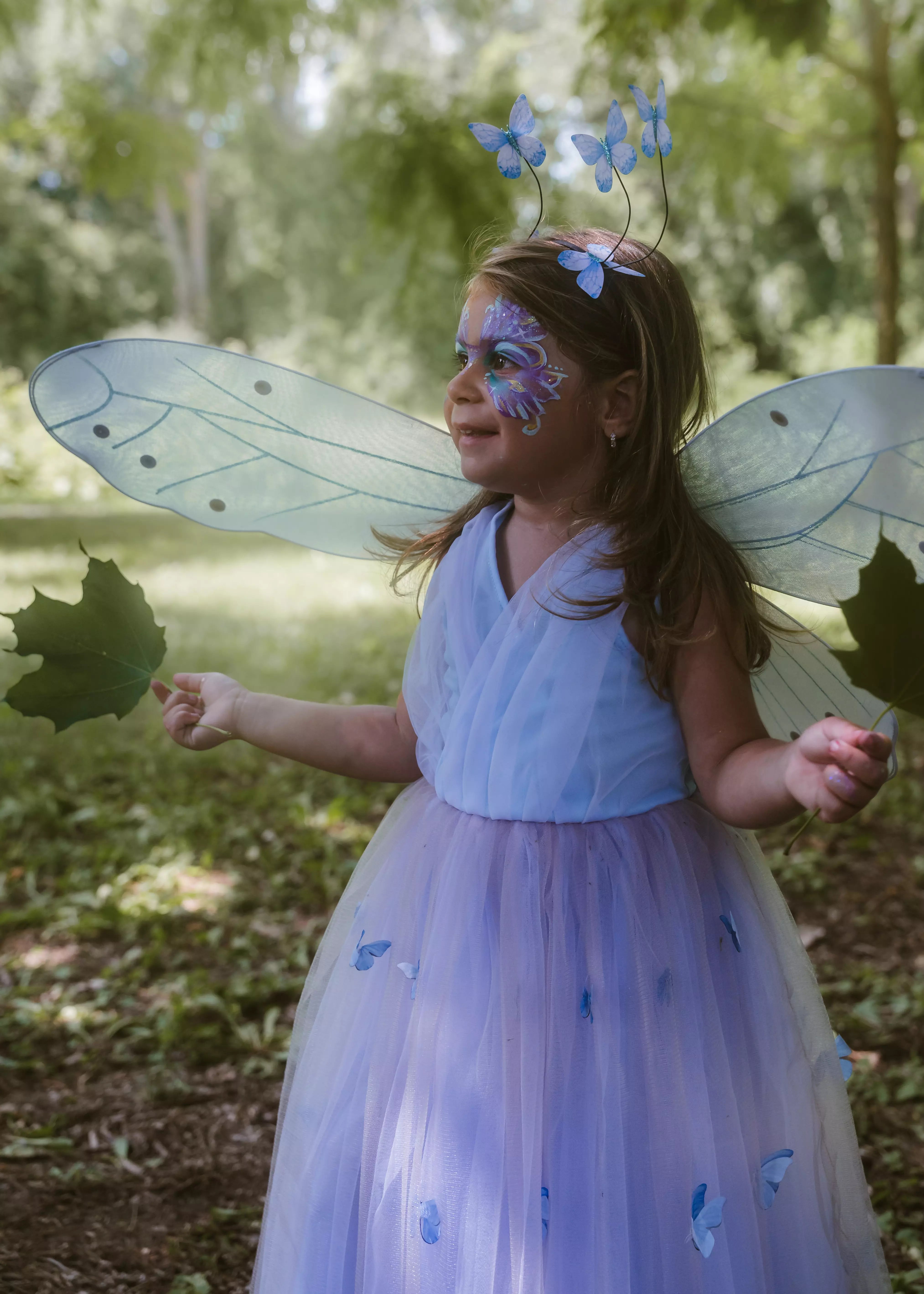 Image of Princess Butterfly Dress, Wings & Head