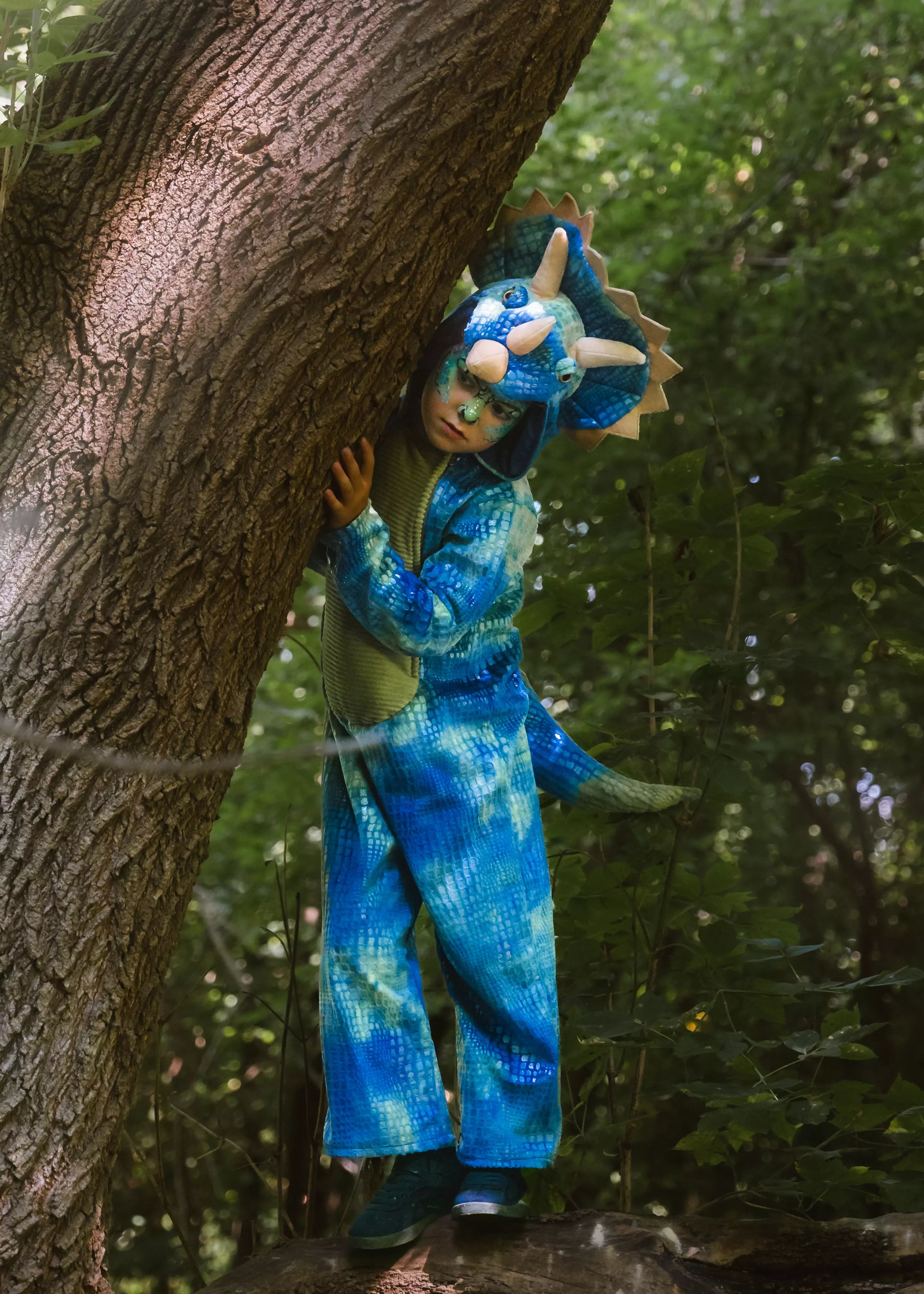 Image of Triceratops Dino Costume