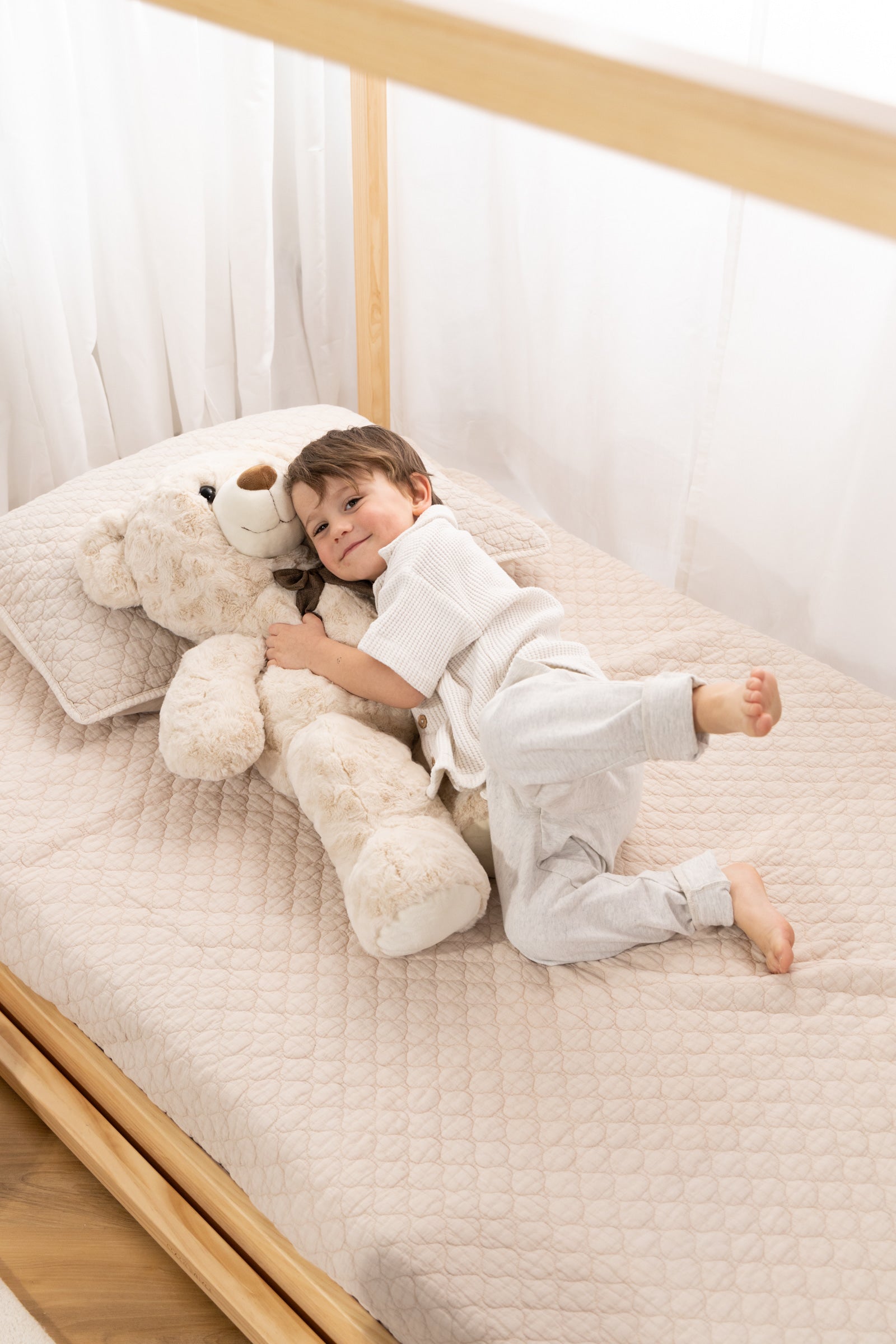 Image of Small Bear Plush Toy