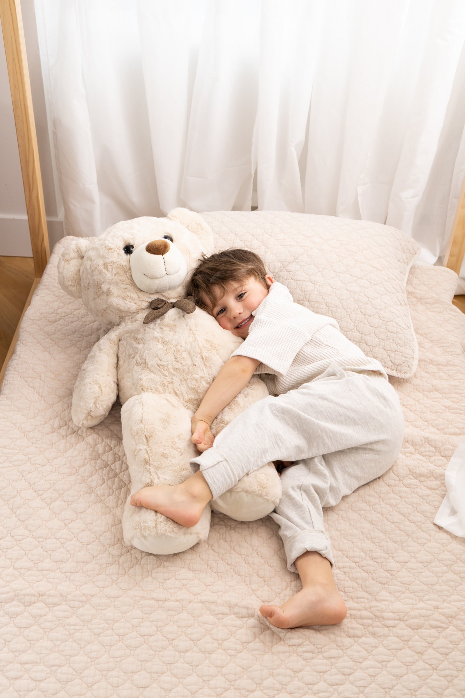 Image of Small Bear Plush Toy