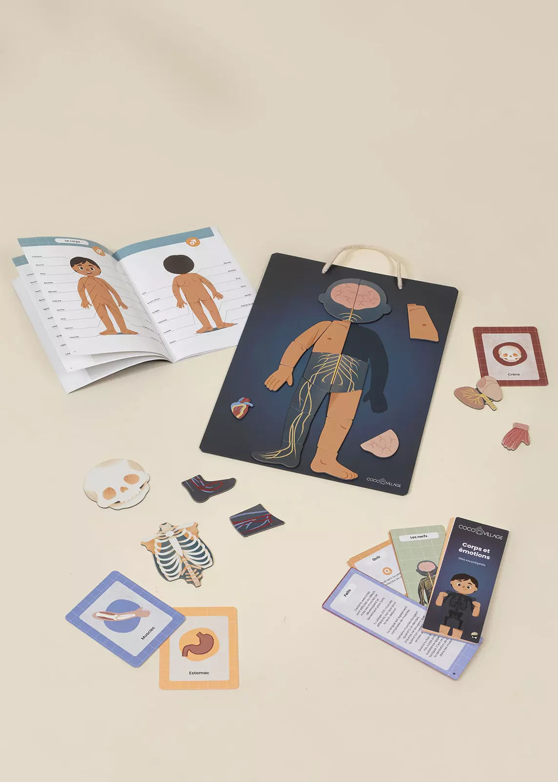 Encyclopédie interactive & magnétique – Corps et émotions (Version anglaise)