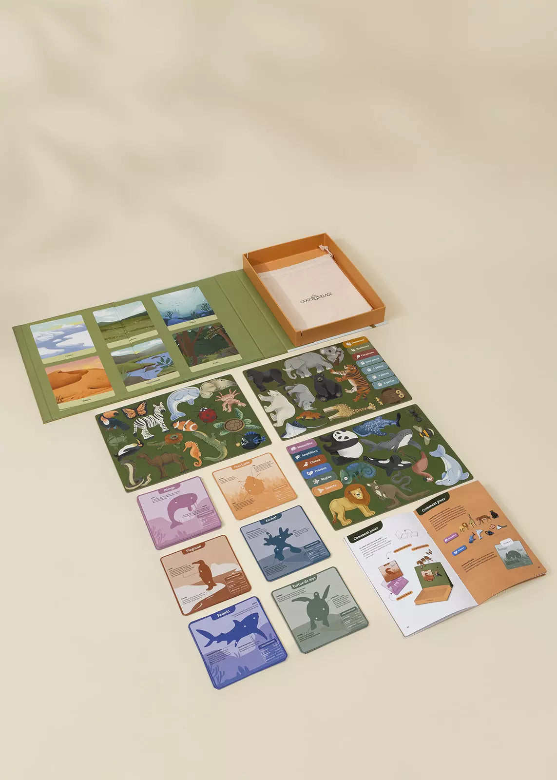 Interactive & Magnetic Encyclopedia – Animal Discovery (English Version)