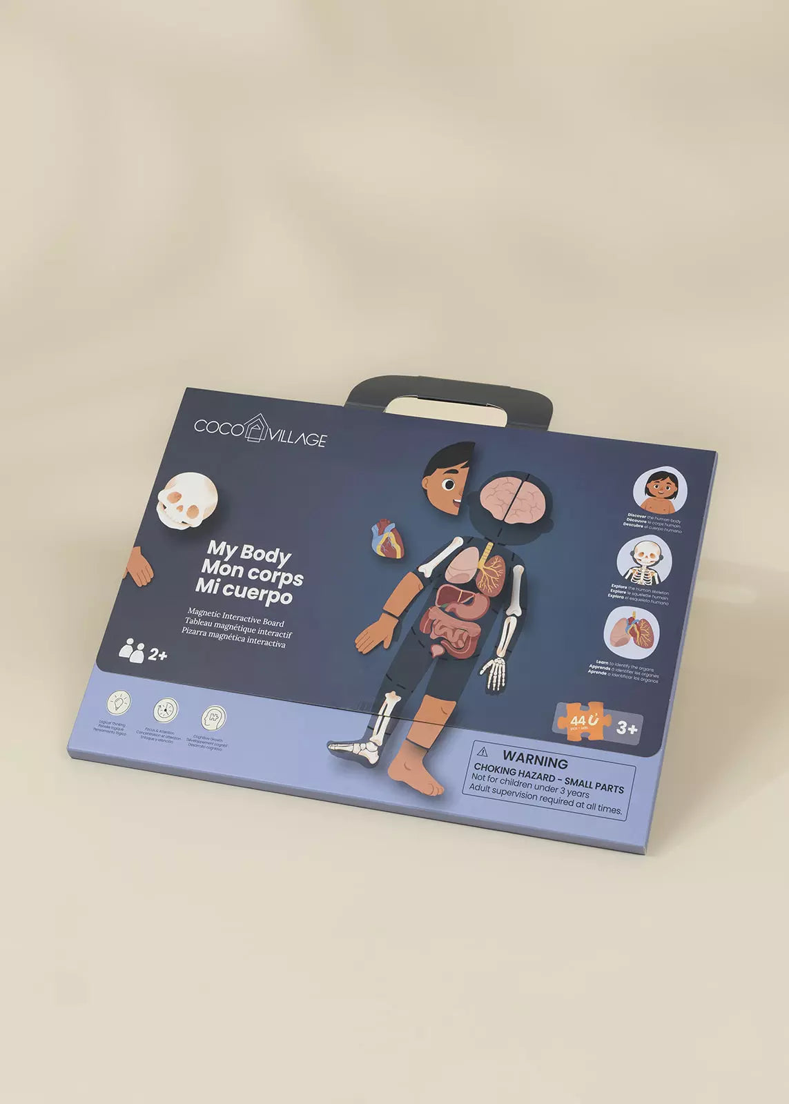 Magnetic Interactive Board – My Body