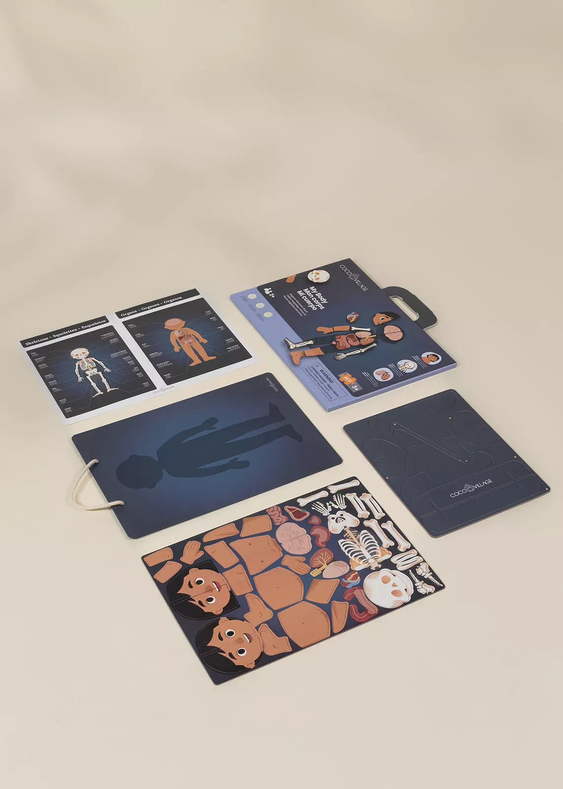 Magnetic Interactive Board – My Body