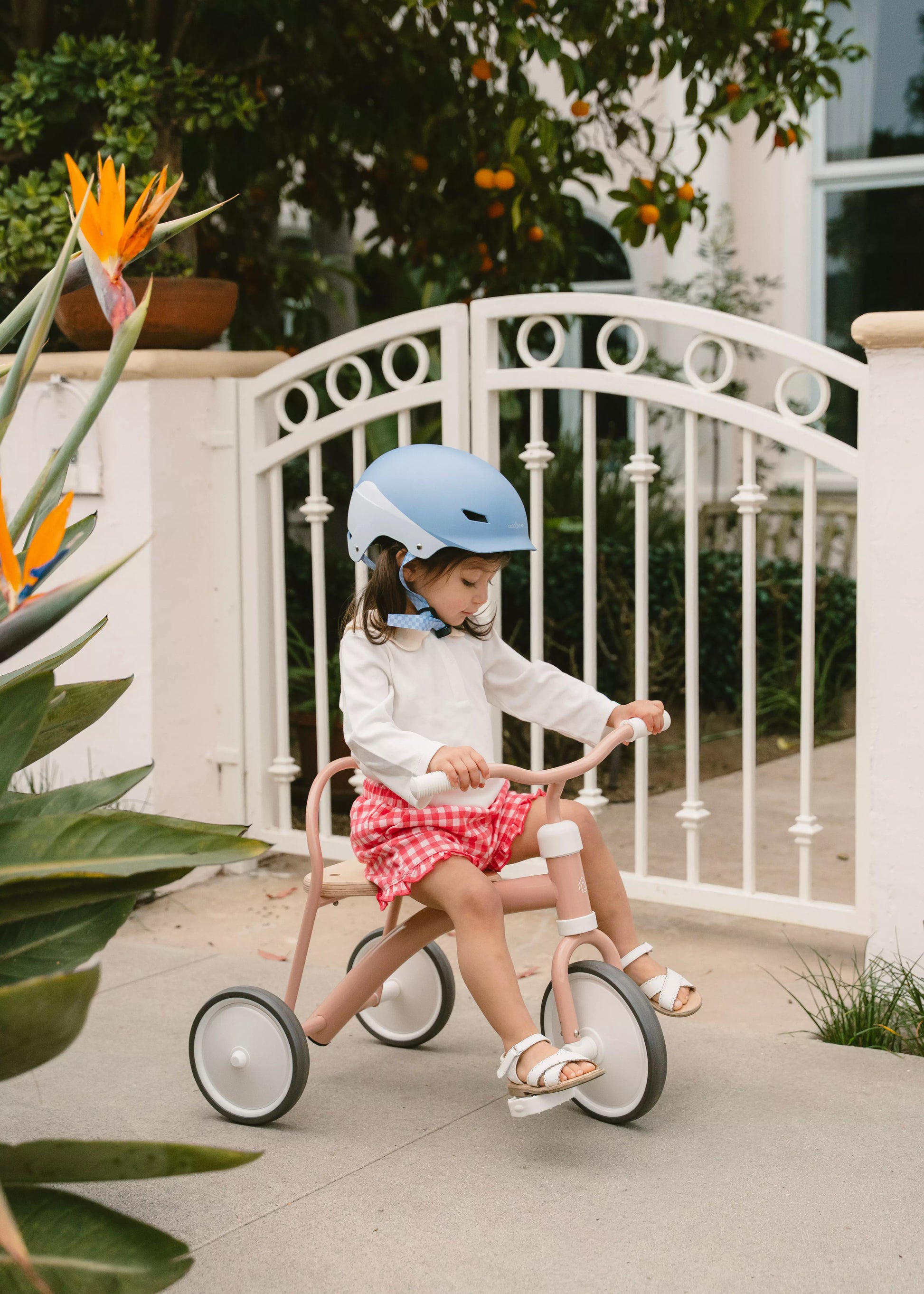 Heritage Tricycle – Petunia