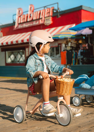 Panier pour vélo