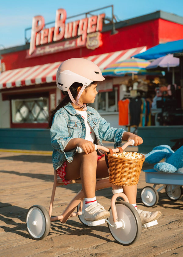 Panier pour vélo