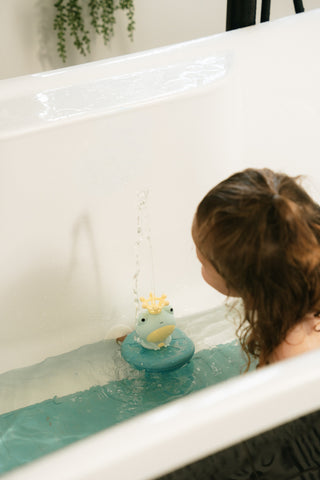 Bath Water Playset with Accessories - Frog