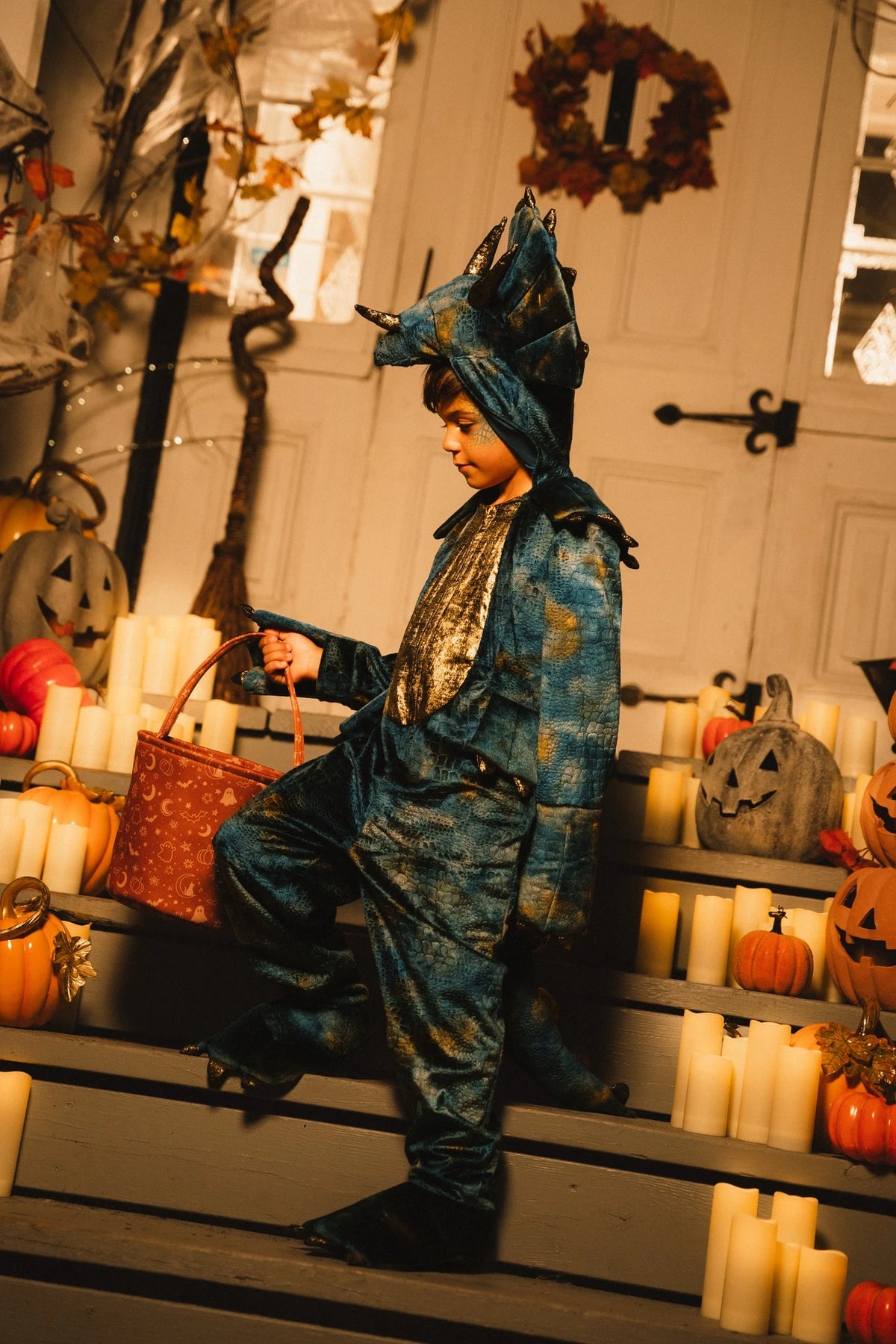 Dinosaur Play Costume