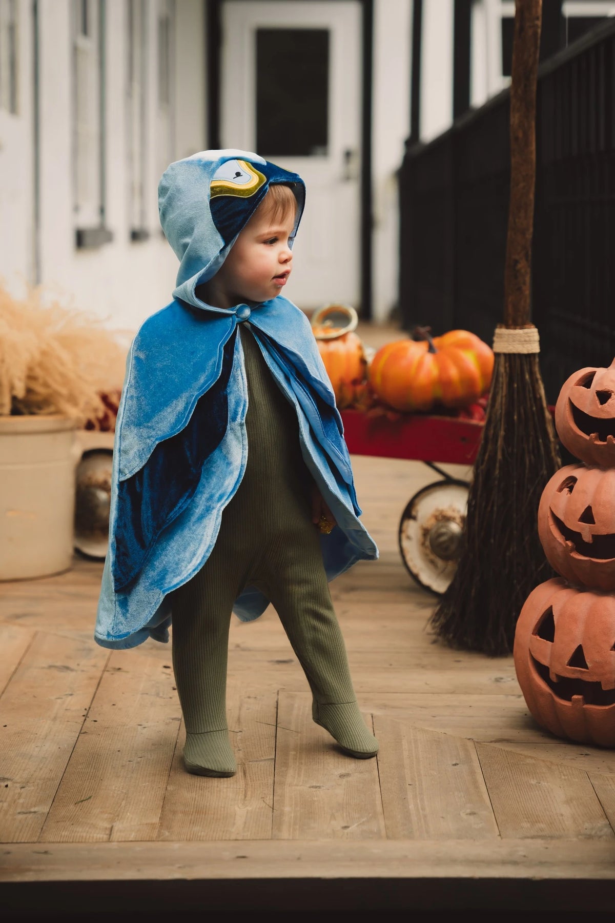 My First Bird Cape Costume