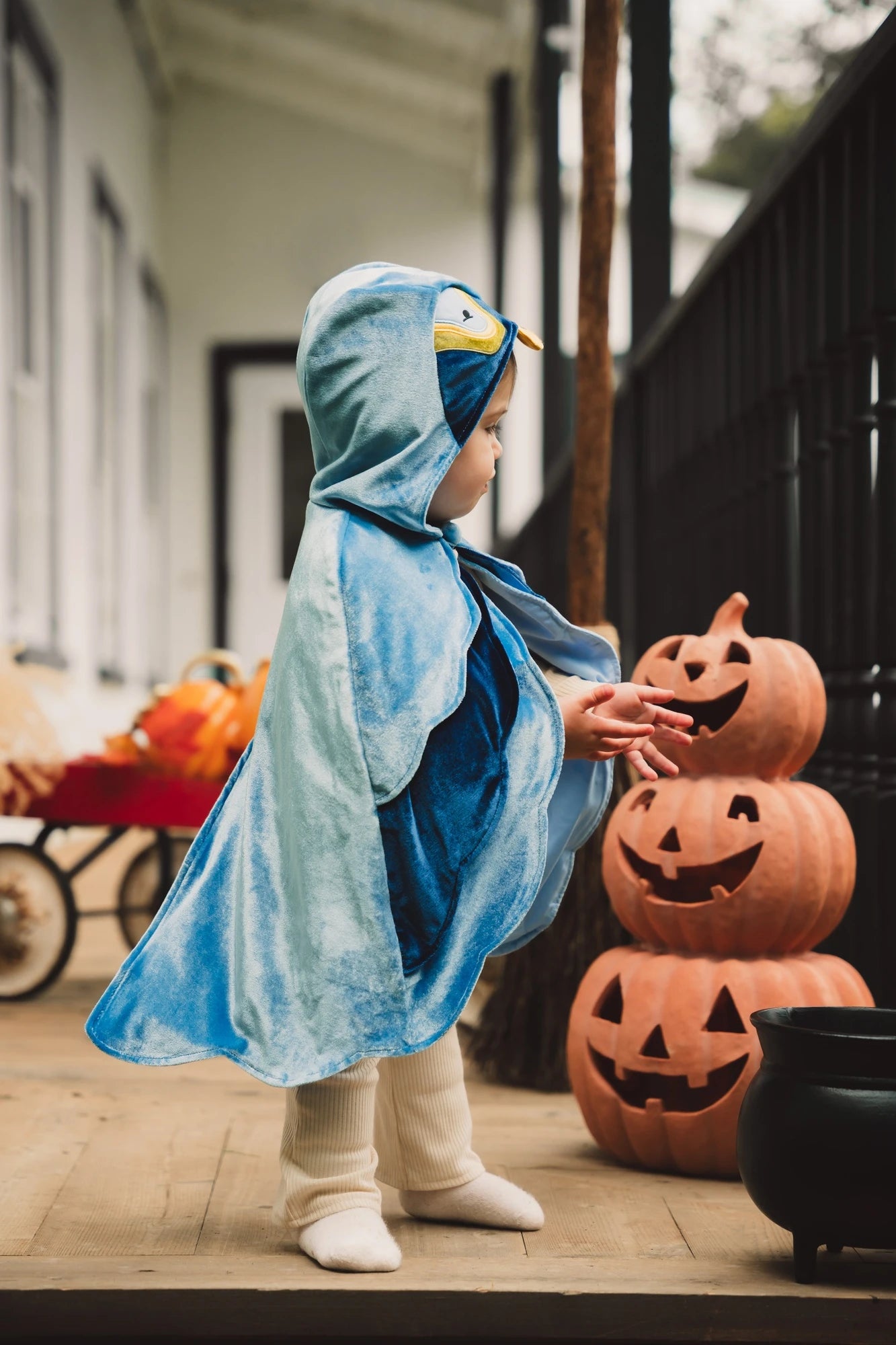 Image of My First Bird Cape Costume