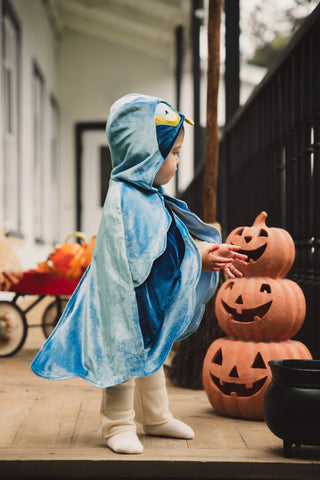 My First Bird Cape Costume