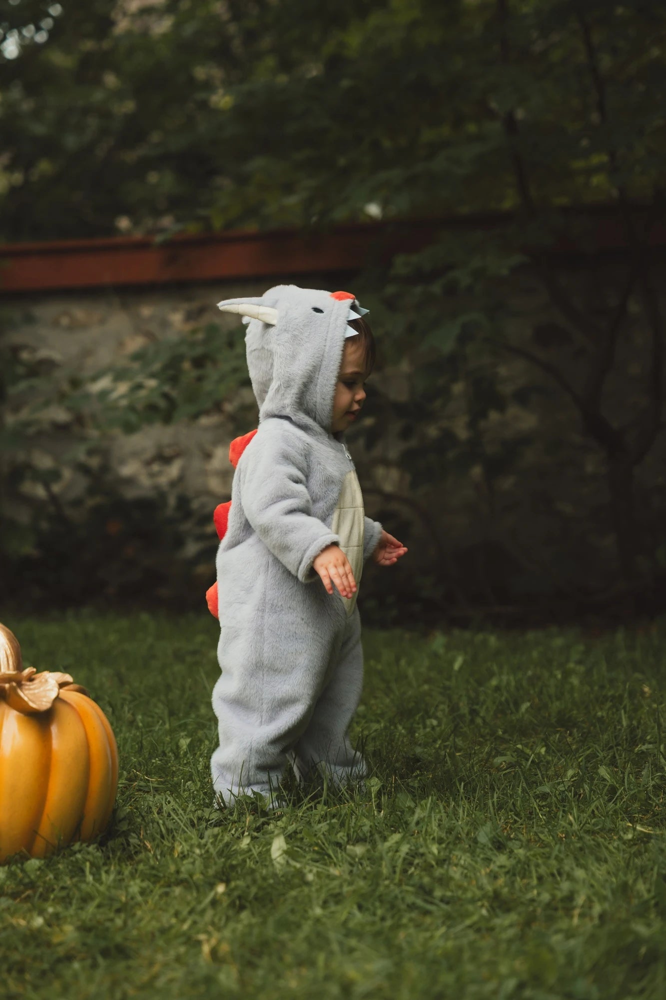 Image of My First Monster Costume