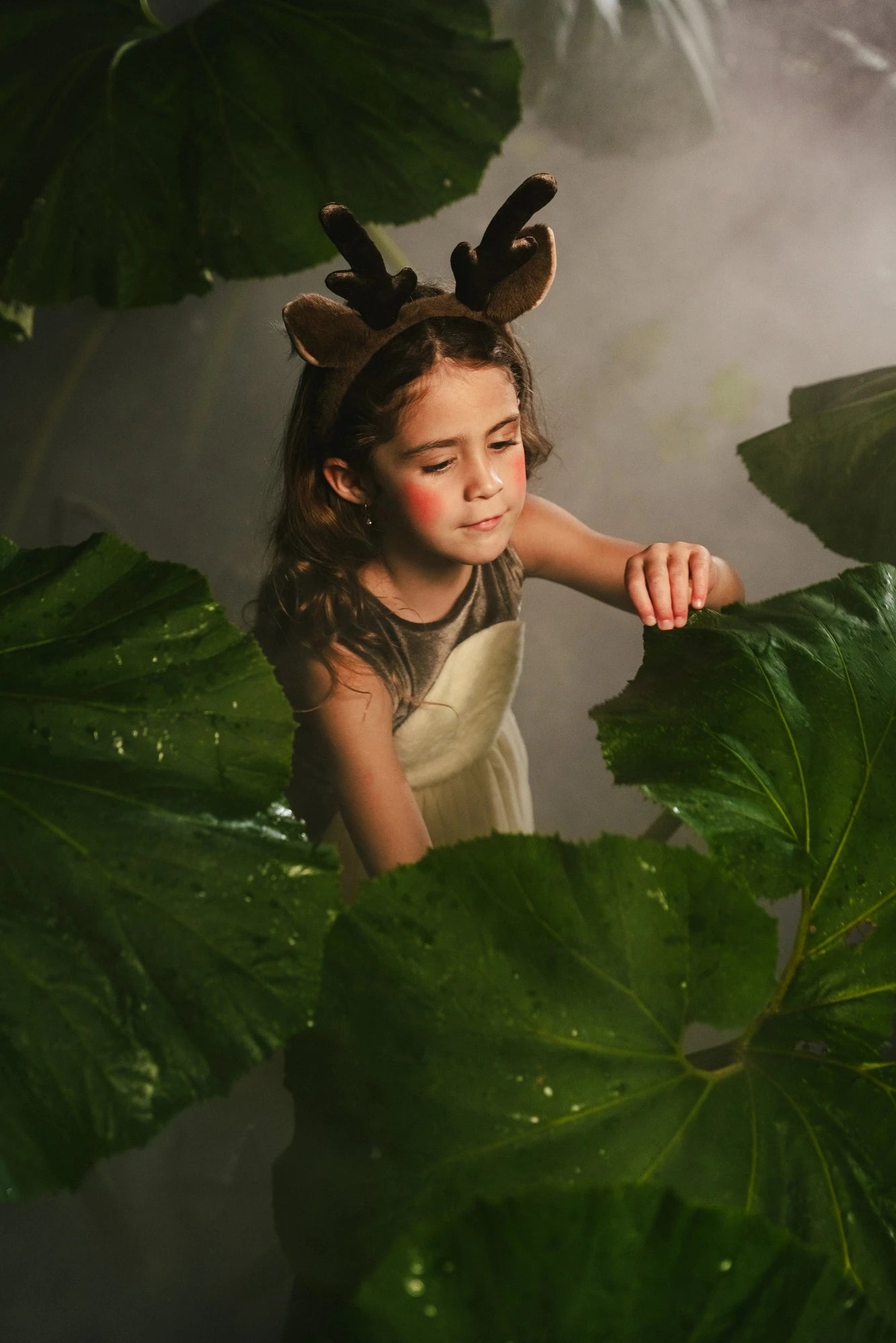 Image of Bandeau de cerf  