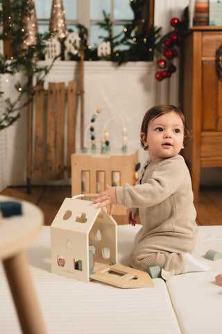 Wooden Shapes Sorting House