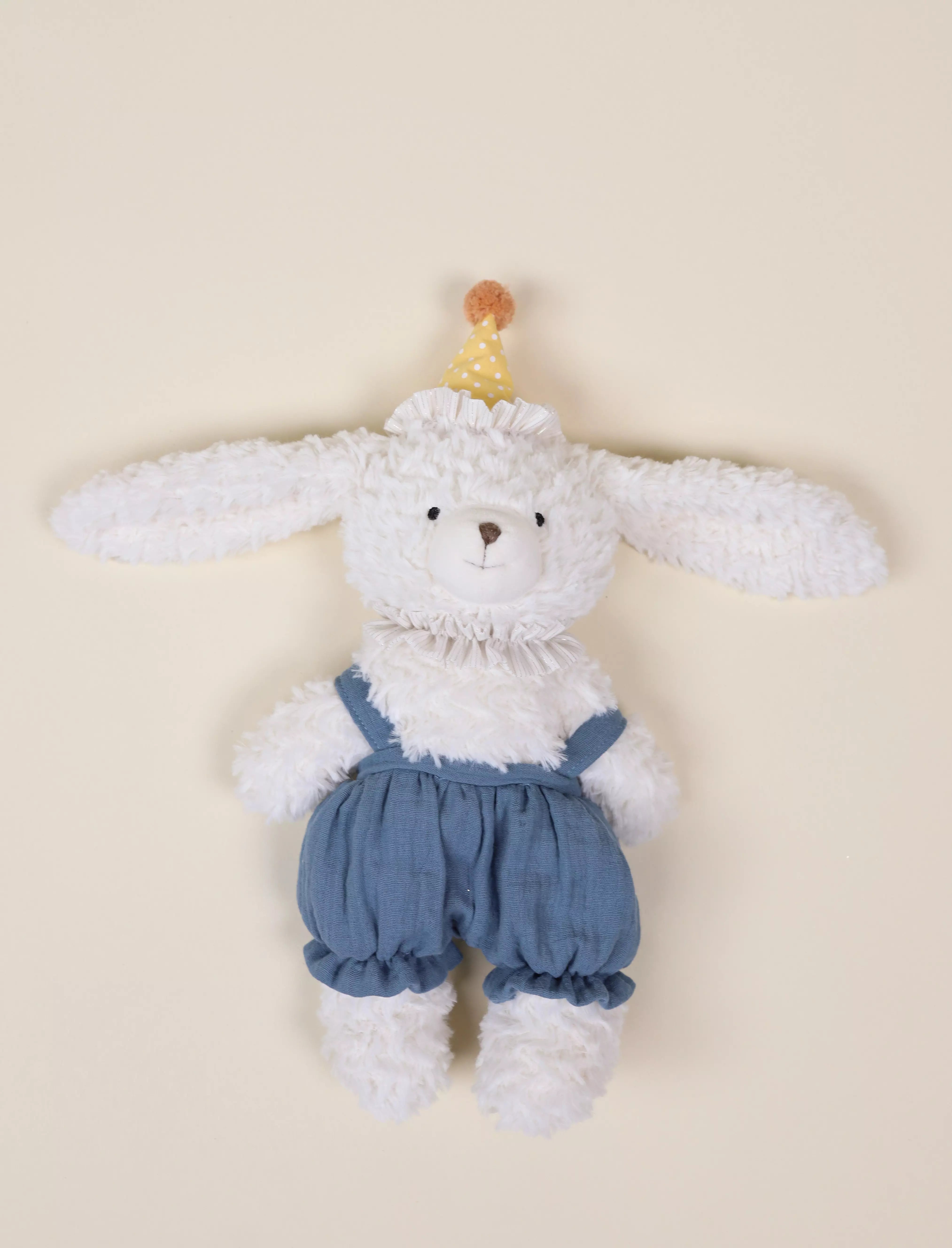 Image of Dog Birthday Plush Toy