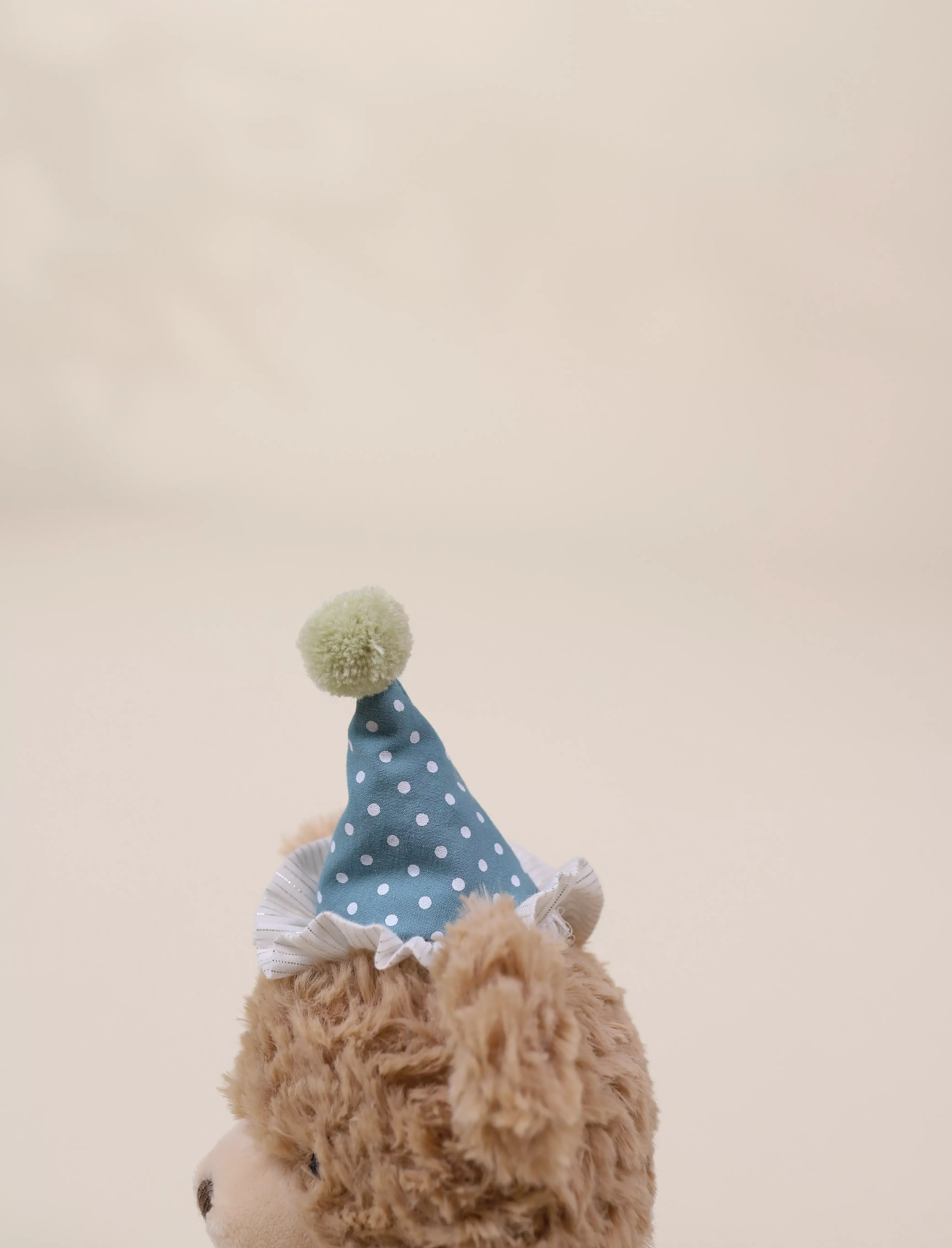 Image of Bear Birthday Plush Toy